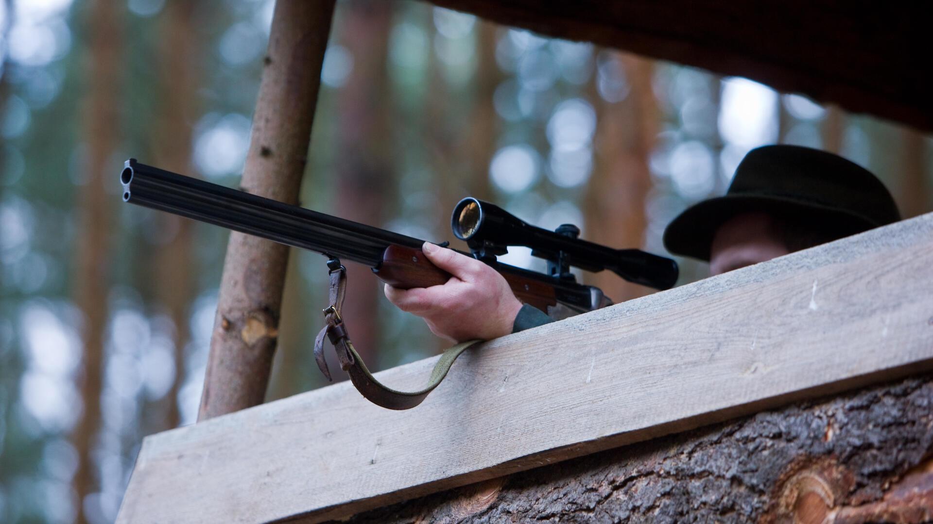 Ein Jäger auf einem Hochstand zielt mit seinem Gewehr. 