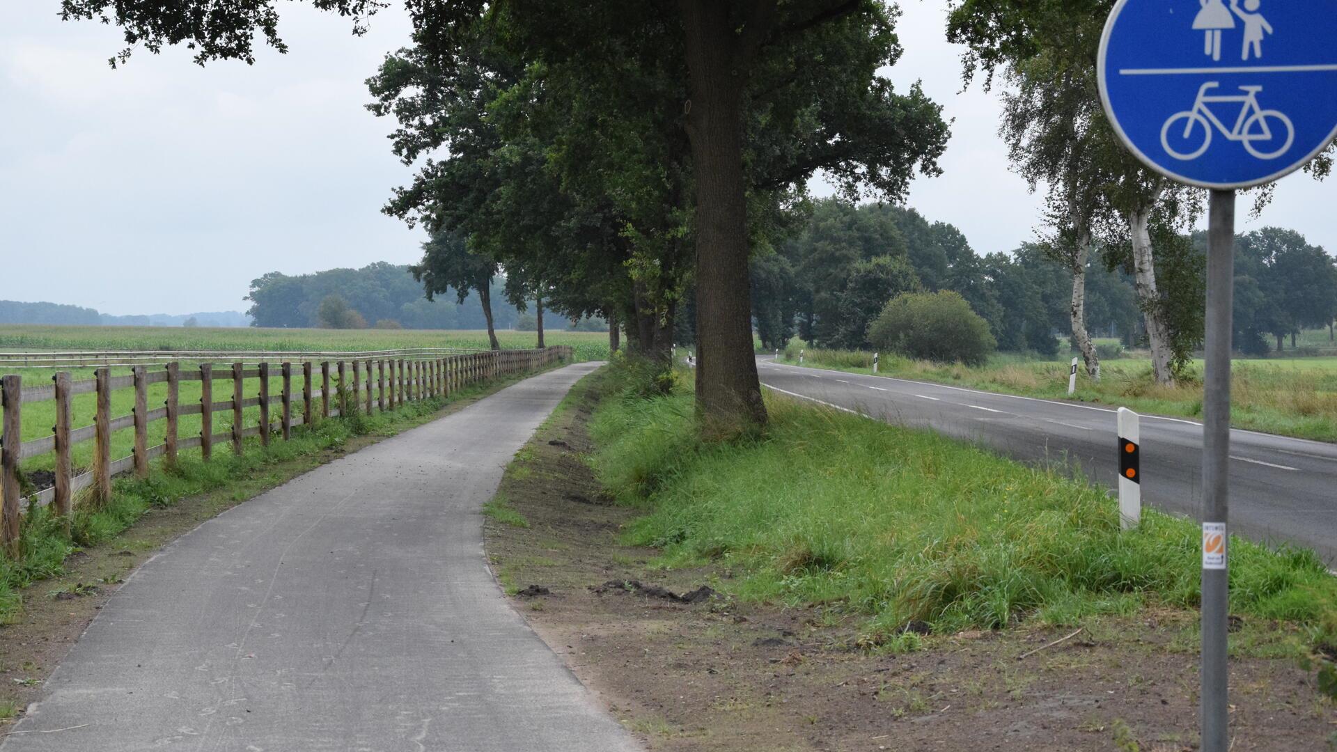 Radweg an Landstraße