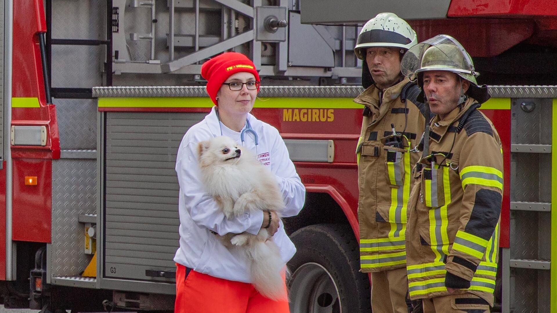 Ein kleiner Hund wird von der Feuerwehr aus einer brennenden Wohnung in der Rickmersstraße gerettet. 