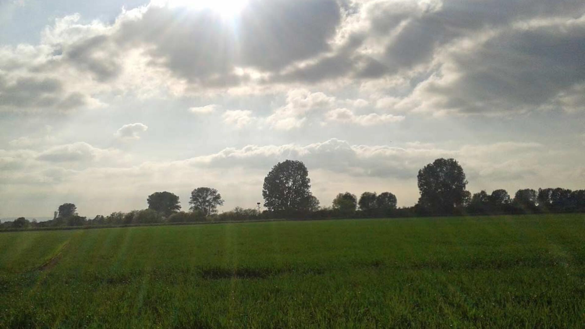 Ein spezieller Stab an Experten, Kirchen-Mitarbeitern und Außerkirchlichen im Bistum Hildesheim, zu dem auch das katholische Dekanat Bremerhaven/Cuxhaven gehört, arbeitet unter Hochdruck an der Aufarbeitung der Fälle sexualisierter Gewalt und setzt sich für eine Erinnerungskultur ein