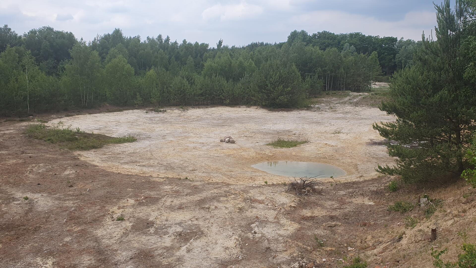 Das Foto zeigt die Sandkuhle bei Nartum. 