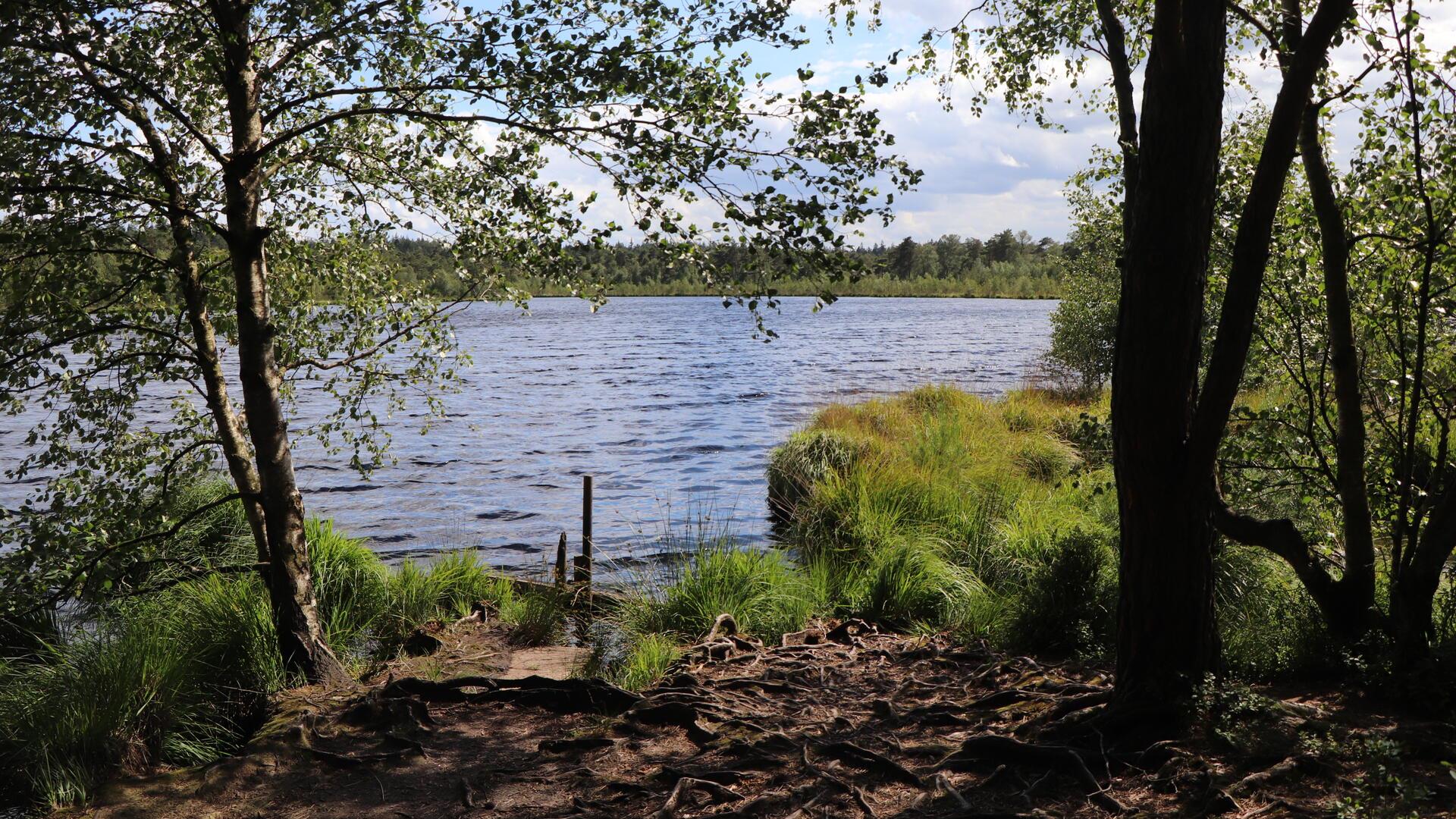 Einer der schönsten Moorseen: Grundloser See bei Ebbingen.