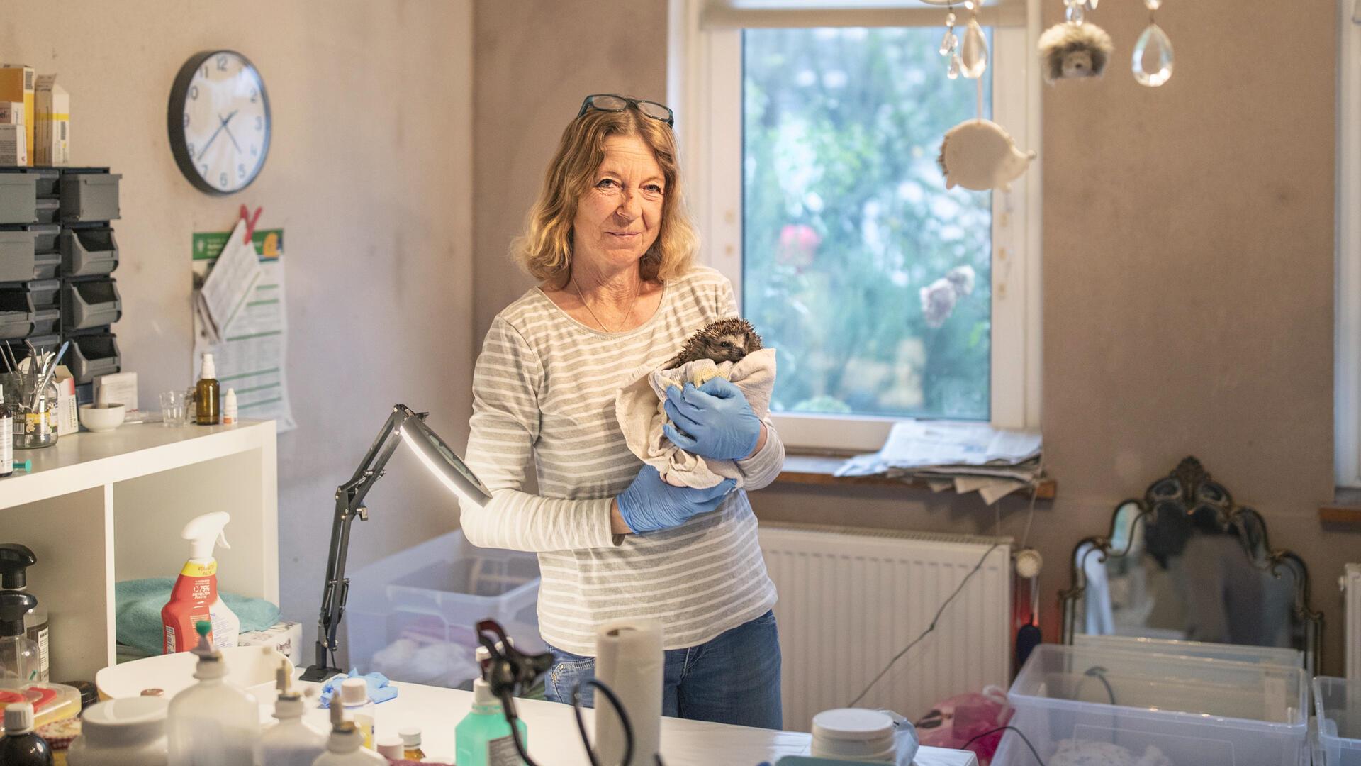 Eines der jüngsten Tiere, welches bei Susanne Müller aktuell genesen und wachsen darf.