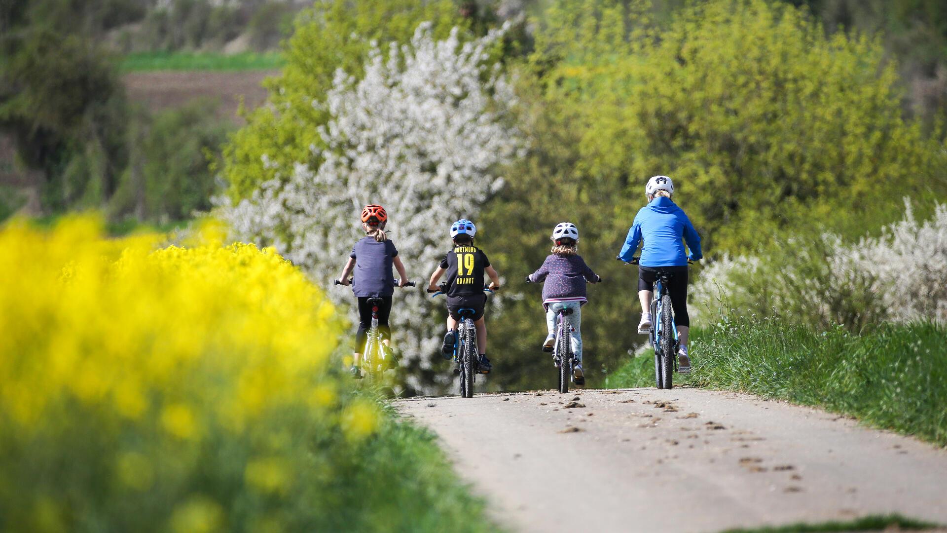 Eine Familie radelt in blühender Landschaft. 