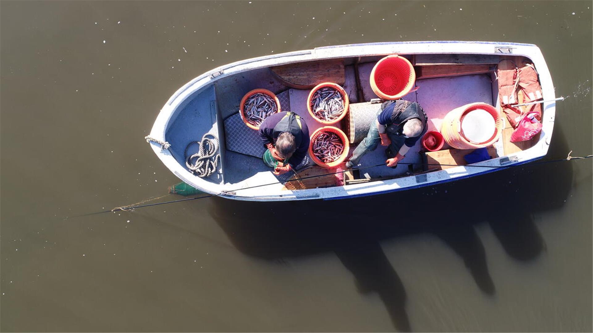 Stintfischer Ulrich Willig auf der Weser