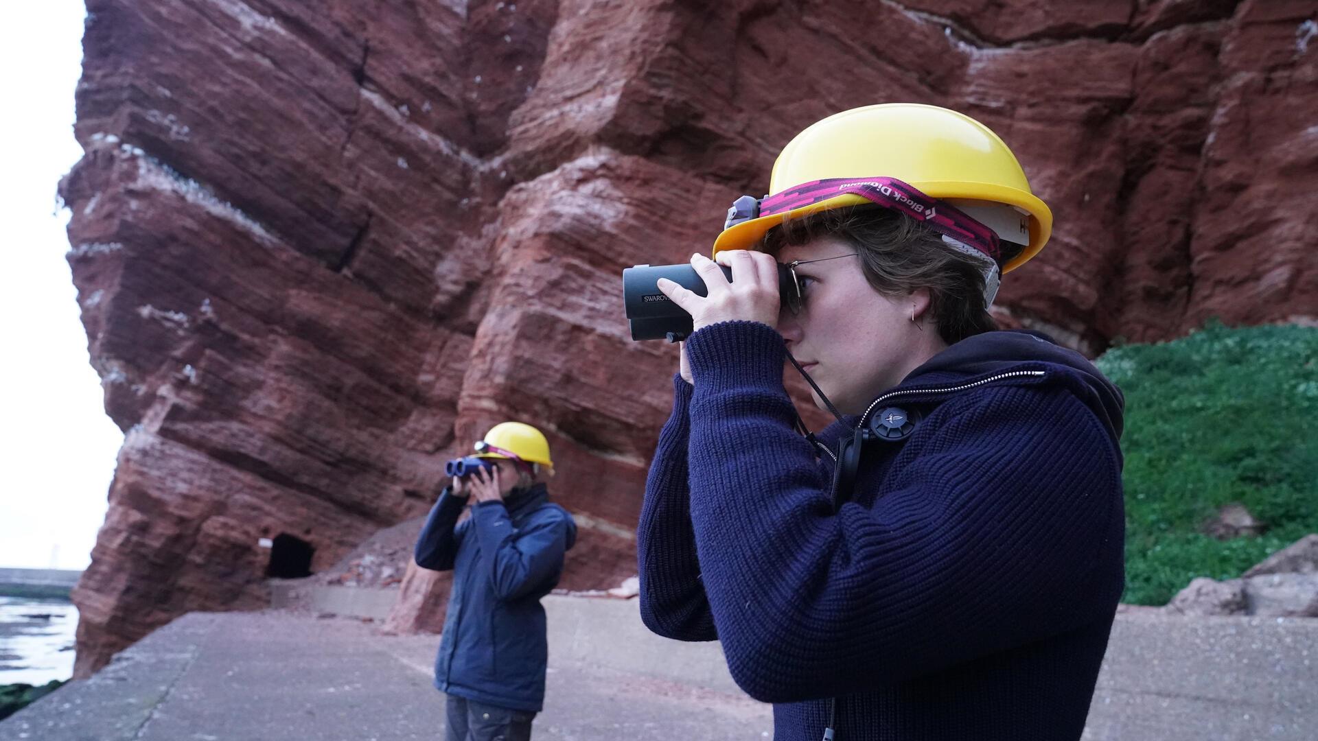 Freiwillige Helfer des Vereins Jordsand auf Helgoland beobachten das Meer.