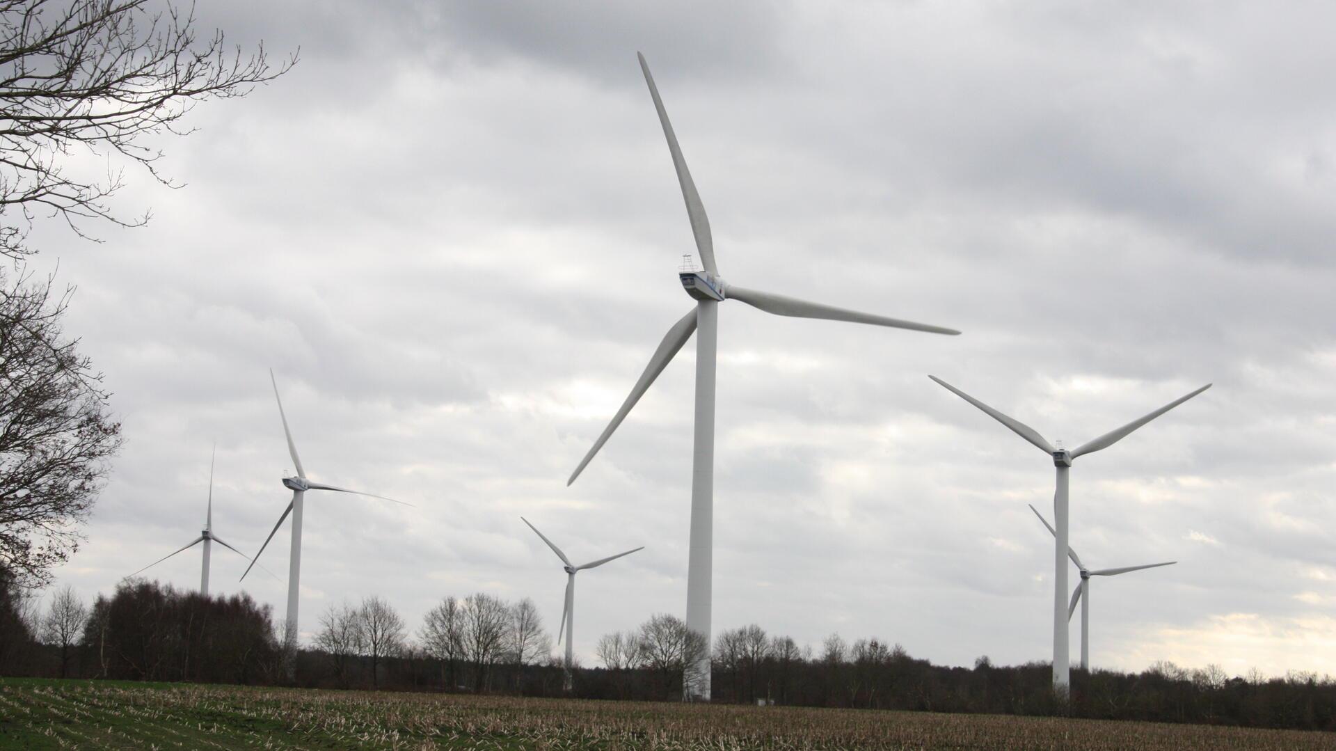 Mehrere Windkraftanlagen in einer offenen Landschaft mit Feldern und Bäumen im Vordergrund.