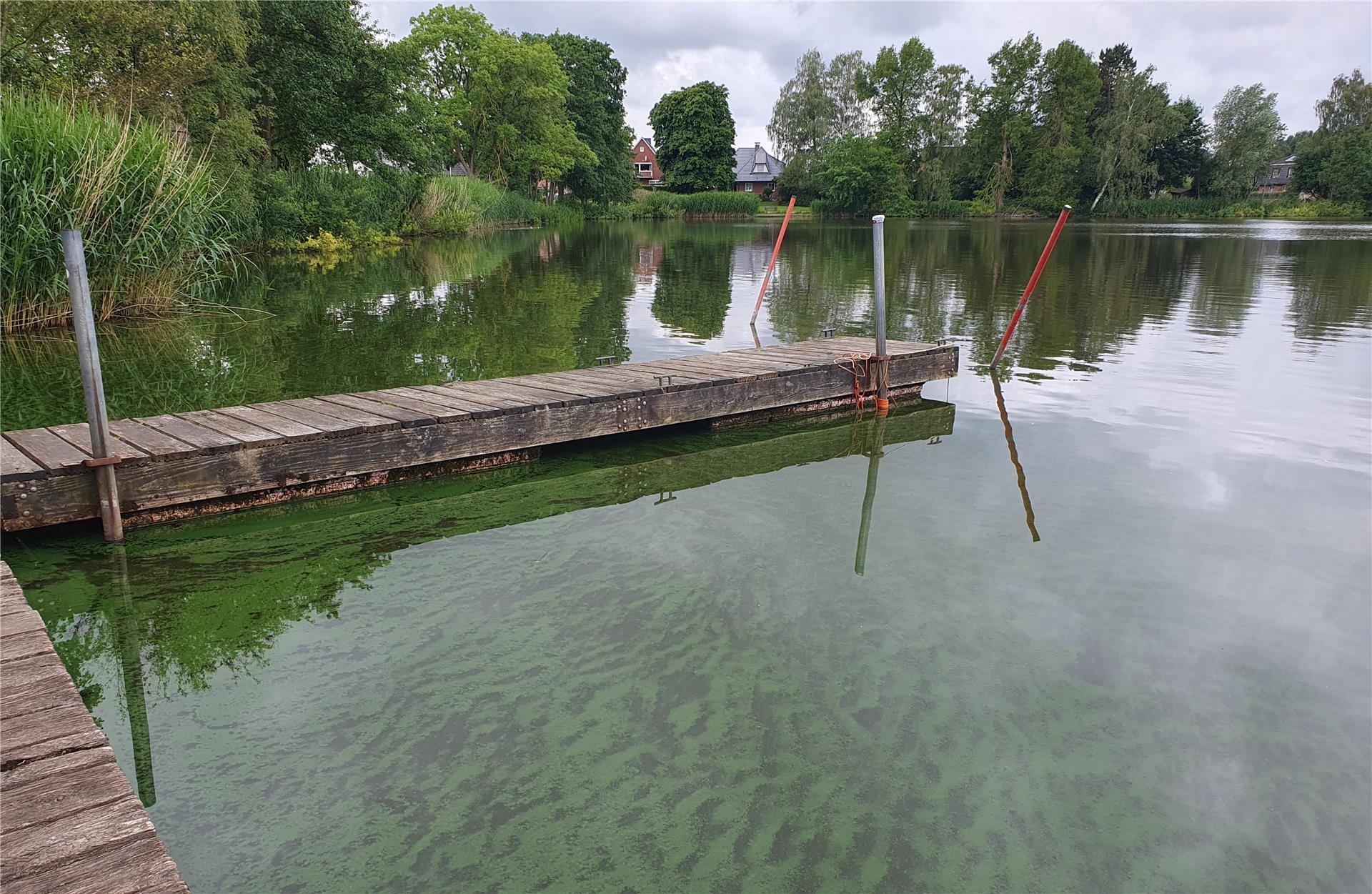 Für den Vörder See besteht ab sofort wieder eine Blaualgenwarnung. 