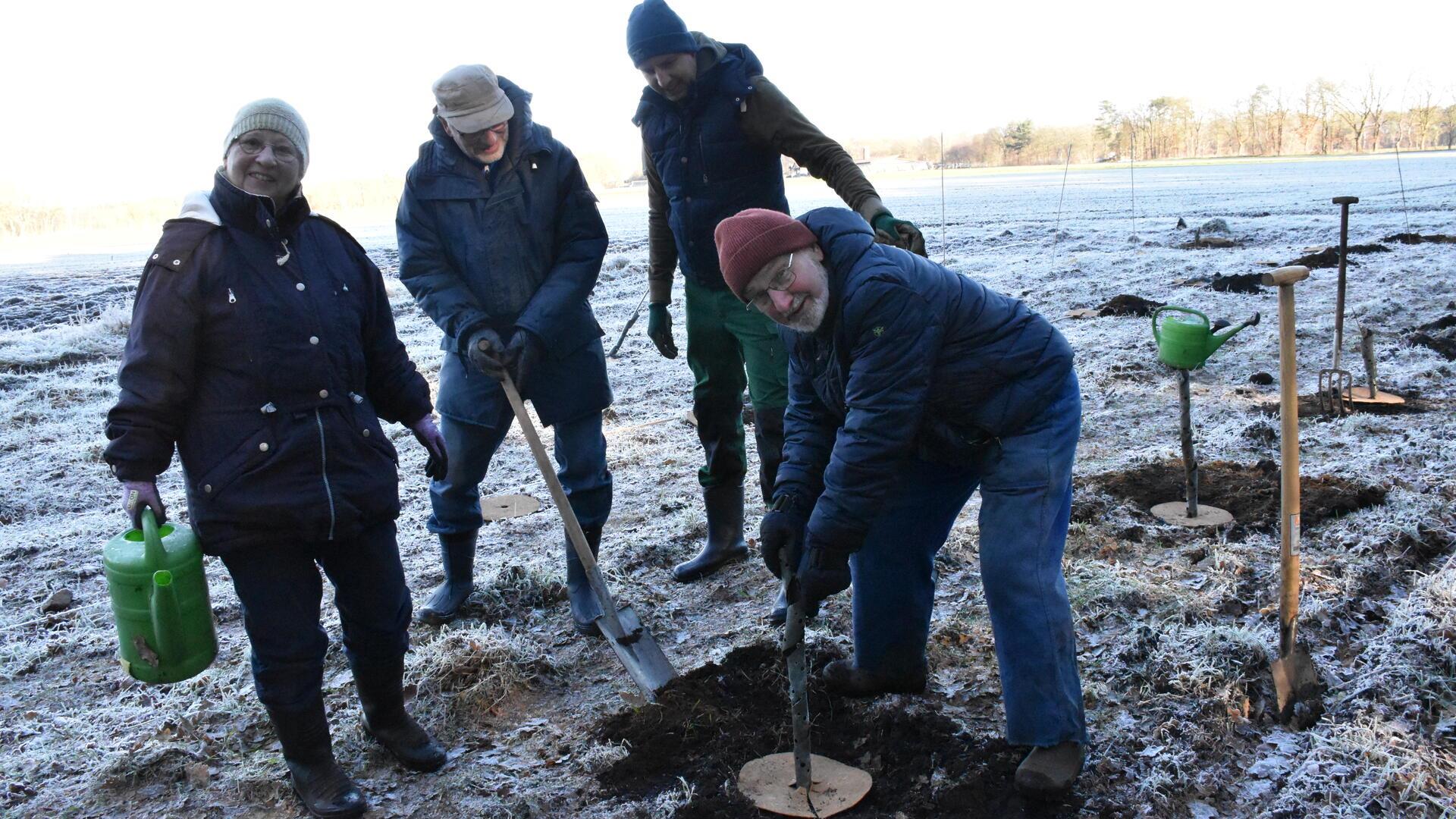 Mehrere Personen pflanzen einen Baum