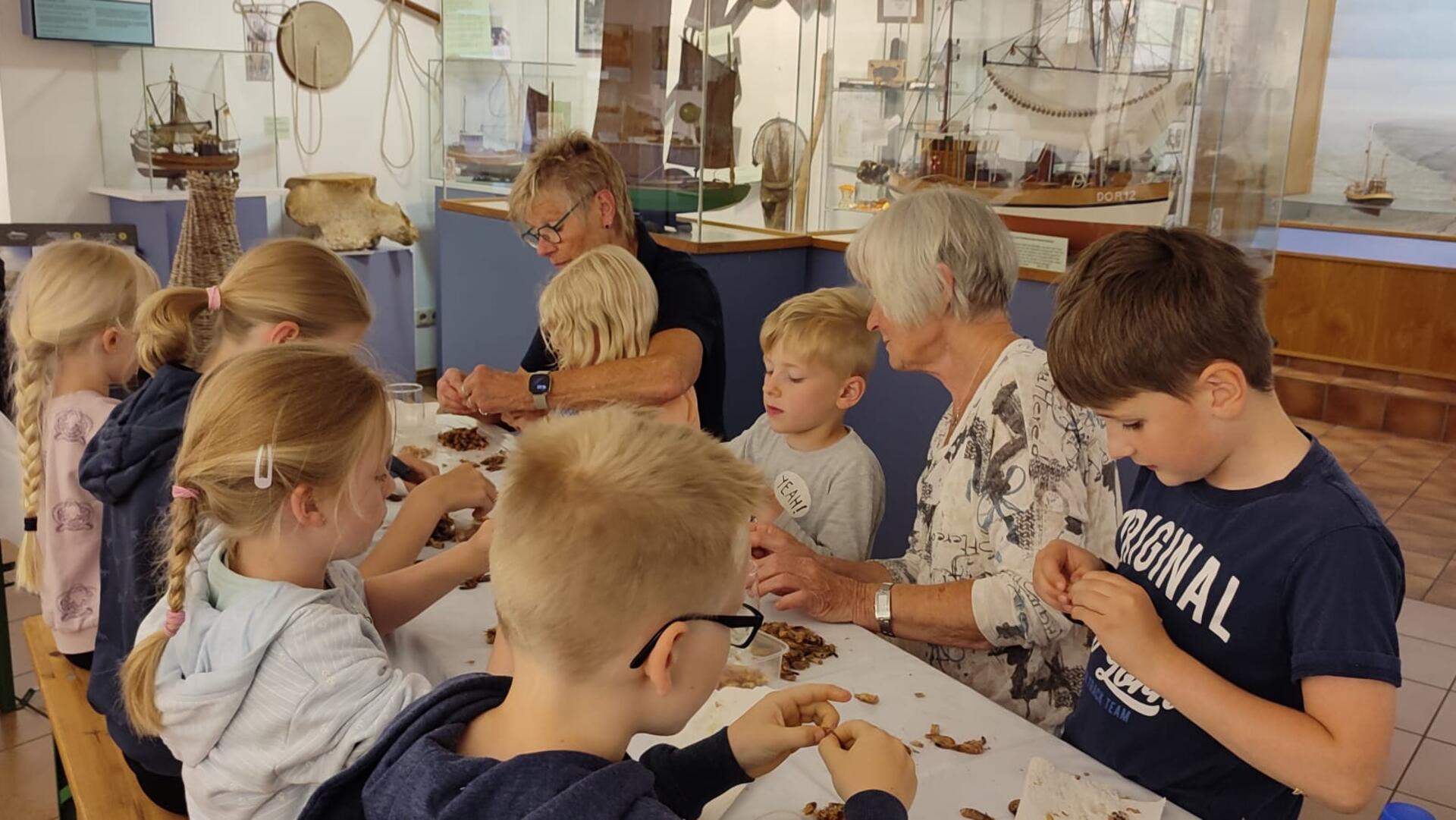 Ganz schön kniffelig: Im Wattenfischereimuseum in Wremen können Kinder in den Schulferien Krabbenpulen lernen.