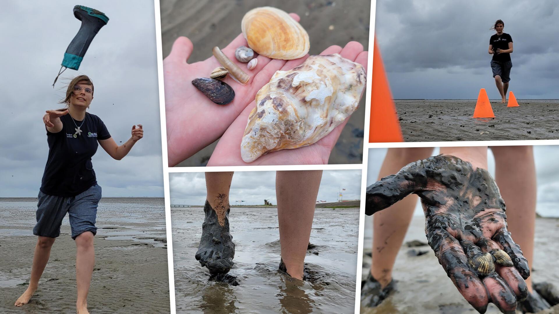 Gummistiefelweitwurf, Muscheln fühlen, Geschicklichkeitsparcours: Vor Dorum-Neufeld an der Wurster Küste können sich Kinder zwischen 7 und 12 Jahren bei verschiedenen Watt-olympischen Disziplinen messen.