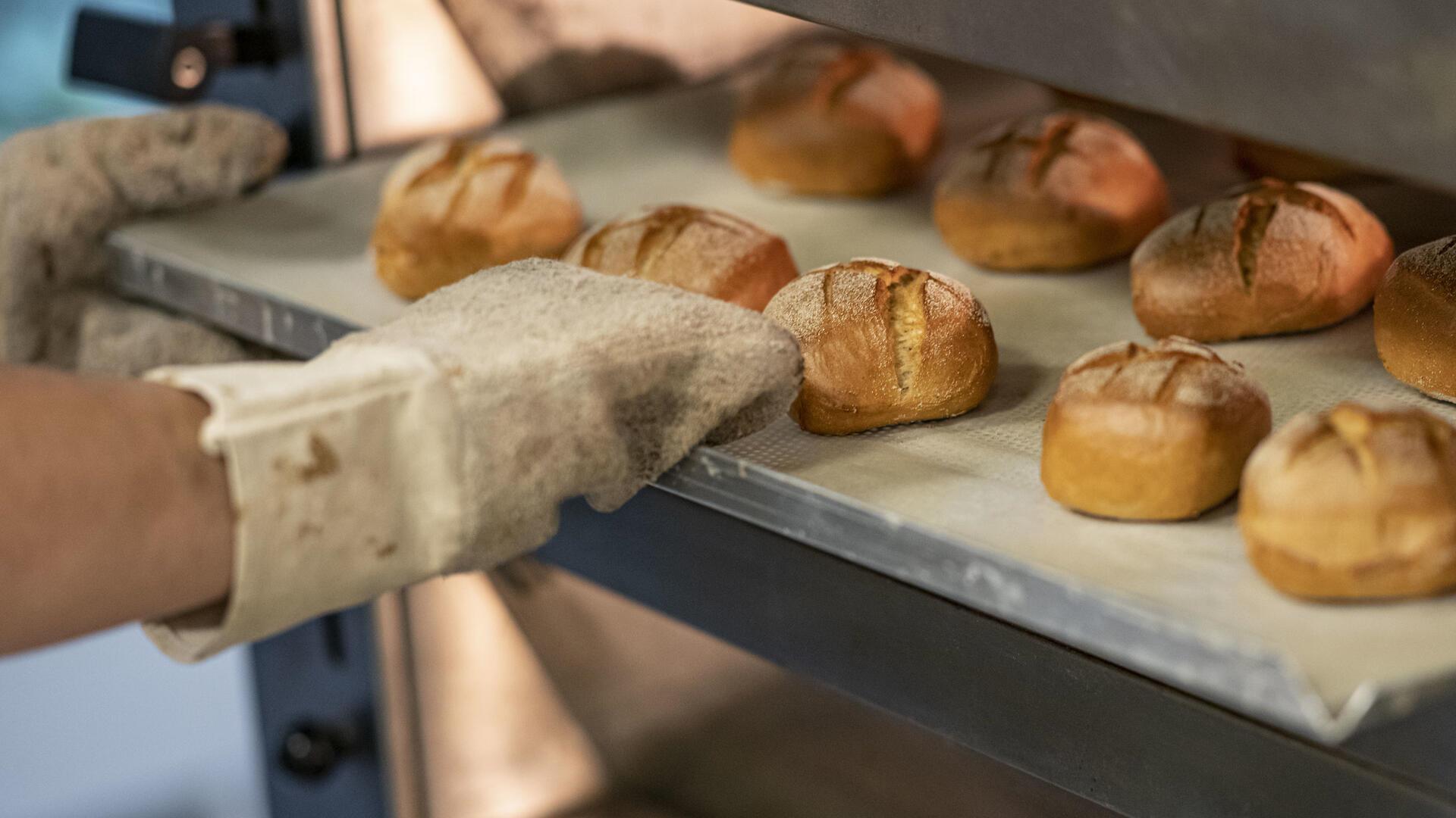 Ein Bäcker holt ein Blech mit frischen Brötchen aus dem Backofen.