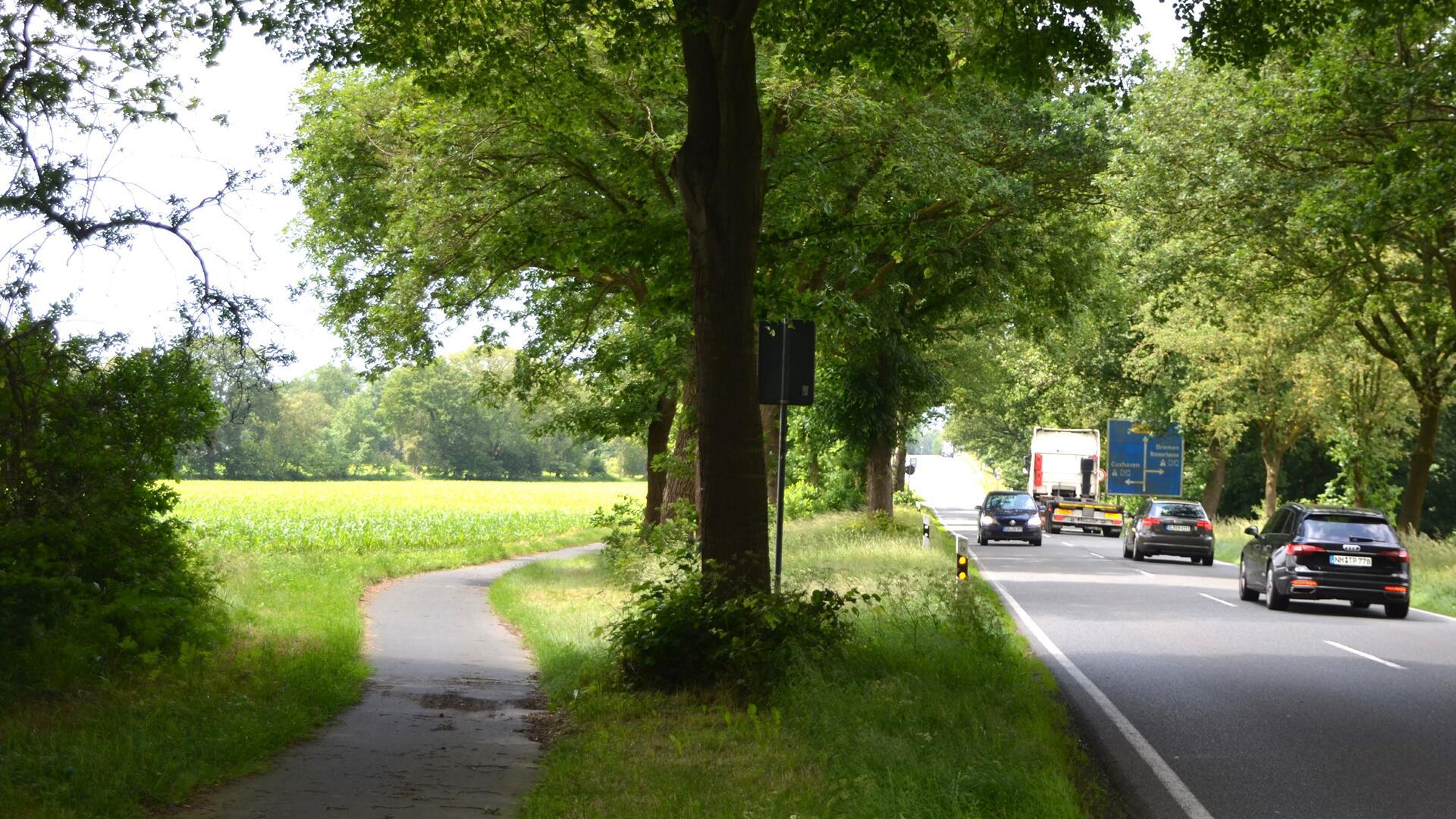 Heute noch Acker, morgen Gewerbegebiet: Die Gemeinde Schiffdorf hat Flächen an der Autobahnauffahrt Debstedt ins Visier genommen.