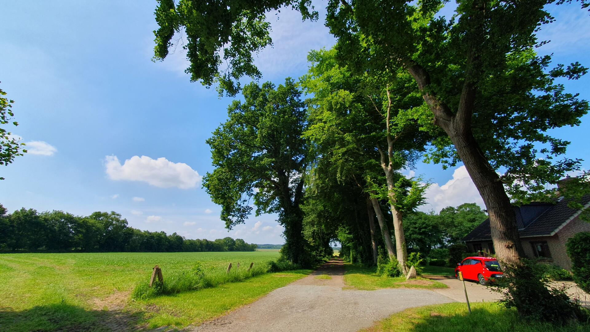 Hinter dem letzten Wohnhaus am Ende des Fickmühlener Wiesenweges geht der Blick auf den Heidhörn. Diese Wiesen hat die Friesen-Elektra als idealen Standort für einen hybriden Energiepark ausgeguckt.