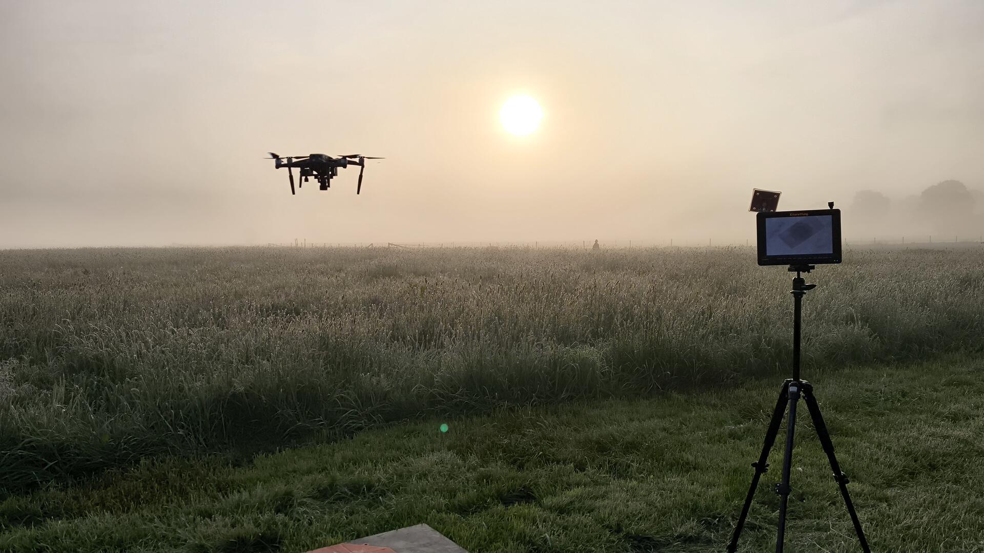 Im Morgennebel steigt eine Drohne über eine Wiese auf, die gleich gemäht werden soll.