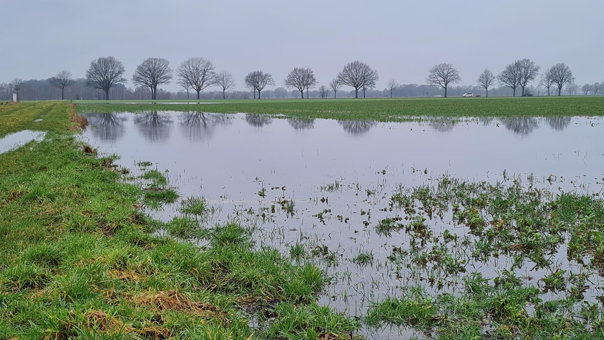 Wiese unter Wasser