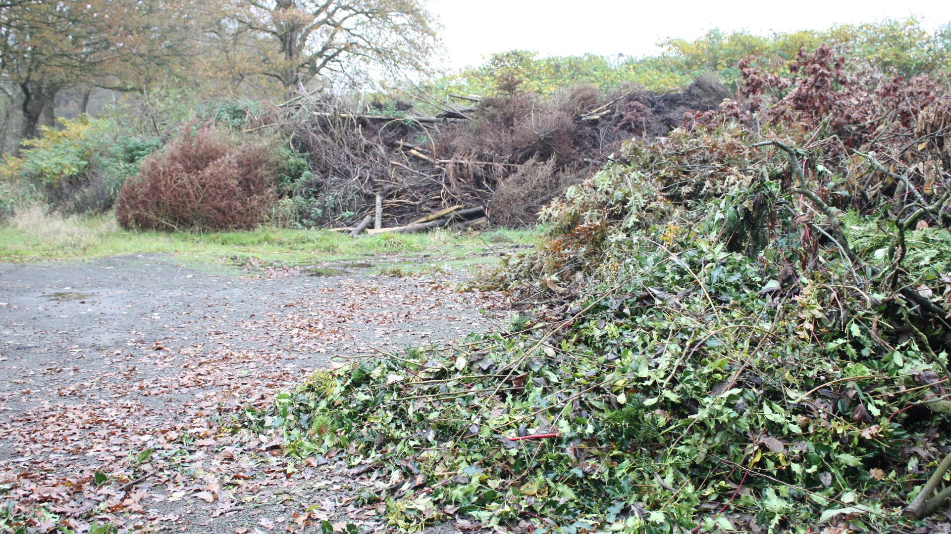 Gartenabfälle gehören nicht aufs Osterfeuer