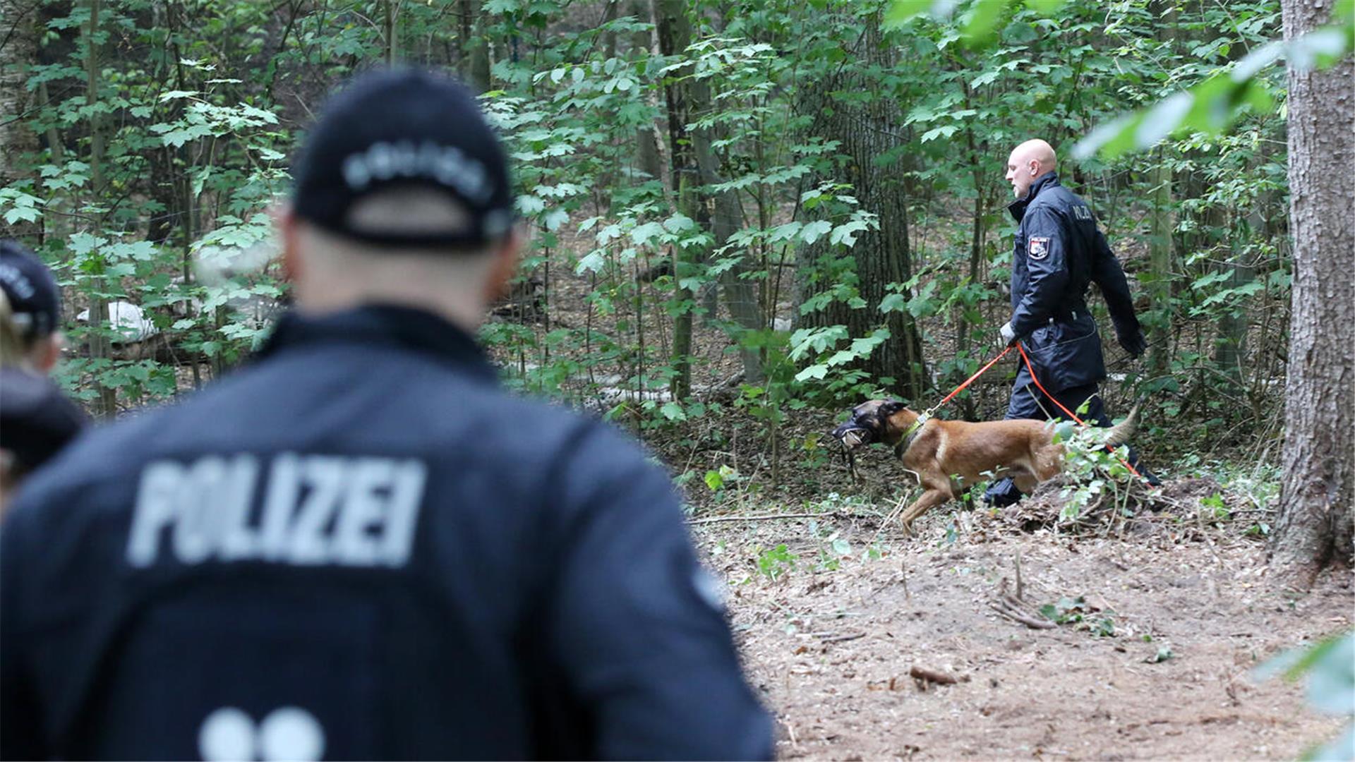 Einsatzkräfte der Polizei sind in einem Waldstück im Einsatz.