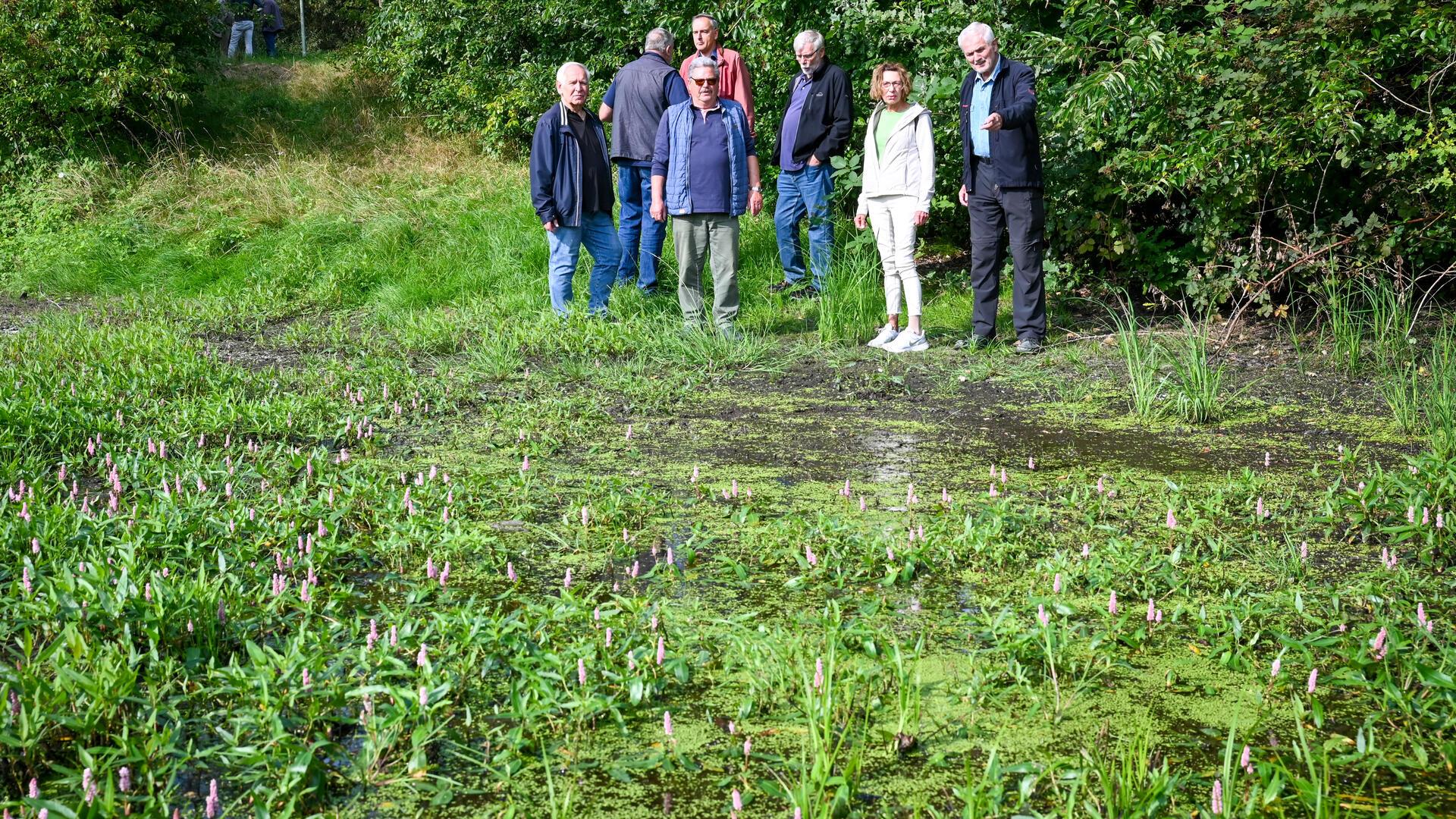 In Grünhöfe sind durch die hohen Wasserstände neue Biotope entstanden