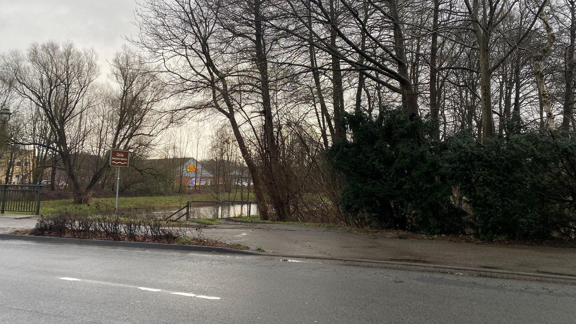 In den kommenden Wochen werden Baumfällarbeiten vor und hinter der Oste-Brücke in Bremervörde durchgeführt. Diese Maßnahme ist eine Vorbereitung für den Bau der neuen Brücke, der voraussichtlich noch 2025 beginnen wird. 