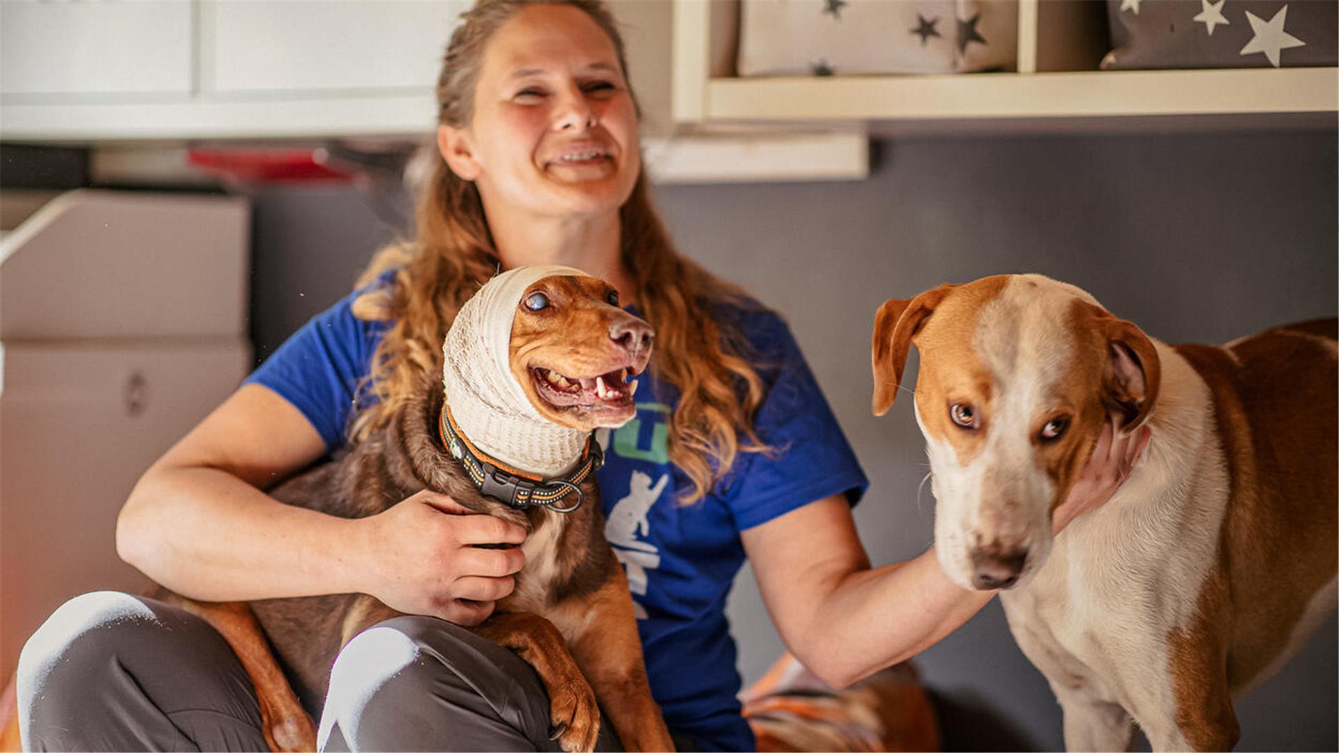 Inga Kubat aus Bremerhaven hilft "Simon" dabei, wieder Lebensfreude zu finden: Der verletzte Hund auf ihrem Schoß hat gelähmte Hinterläufe. Daneben freut sich "Fiete" auf viel Zuwendung. Er bleibt aber bei der "Pflege-Mama".