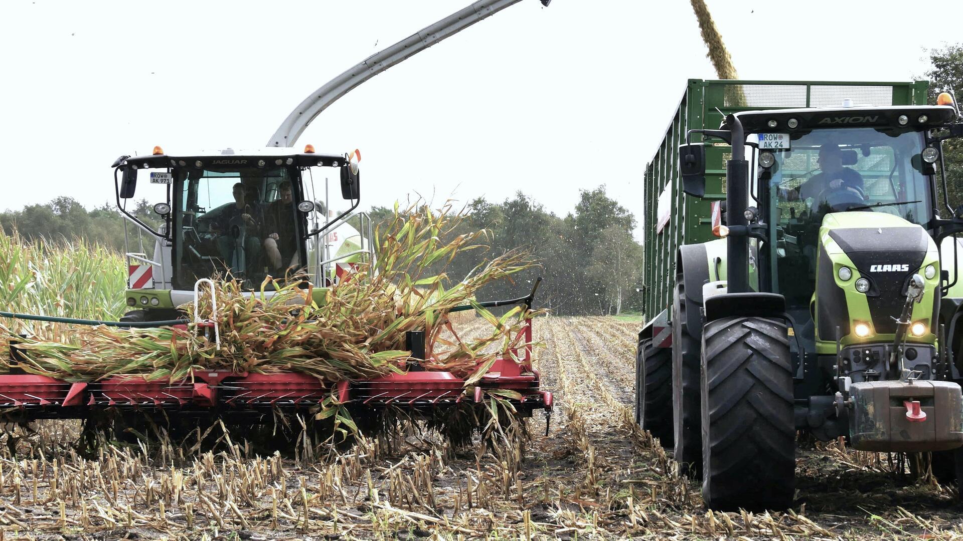 Jetzt bestimmen sie wieder das Bild der Landwirtschaft, die Maishäcksler und die Treckergespanne. In kurzer Zeit müssen knapp 50.000 Hektar Mais im Landkreis geerntet werden, da ist jede Minute kostbar.