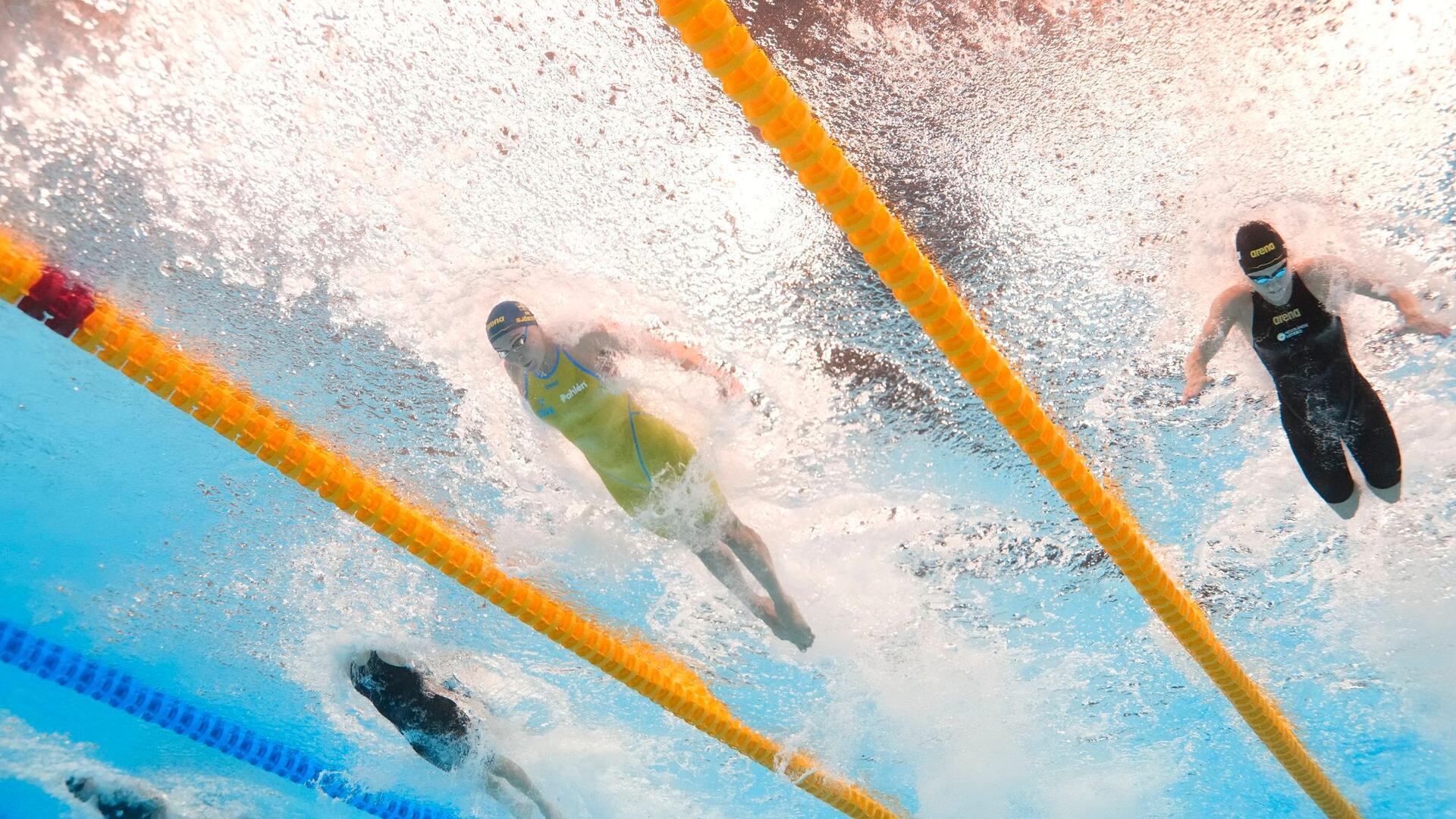 Katerine Savard (l-r, Kanada), Angelina Köhler (Deutschland), Sarah Sjoestrom (Schweden) und Maaike de Waard (Niederlande) zeigen im 50m Schmetterling bei der Schwimm-WM in Katar ihr Können.