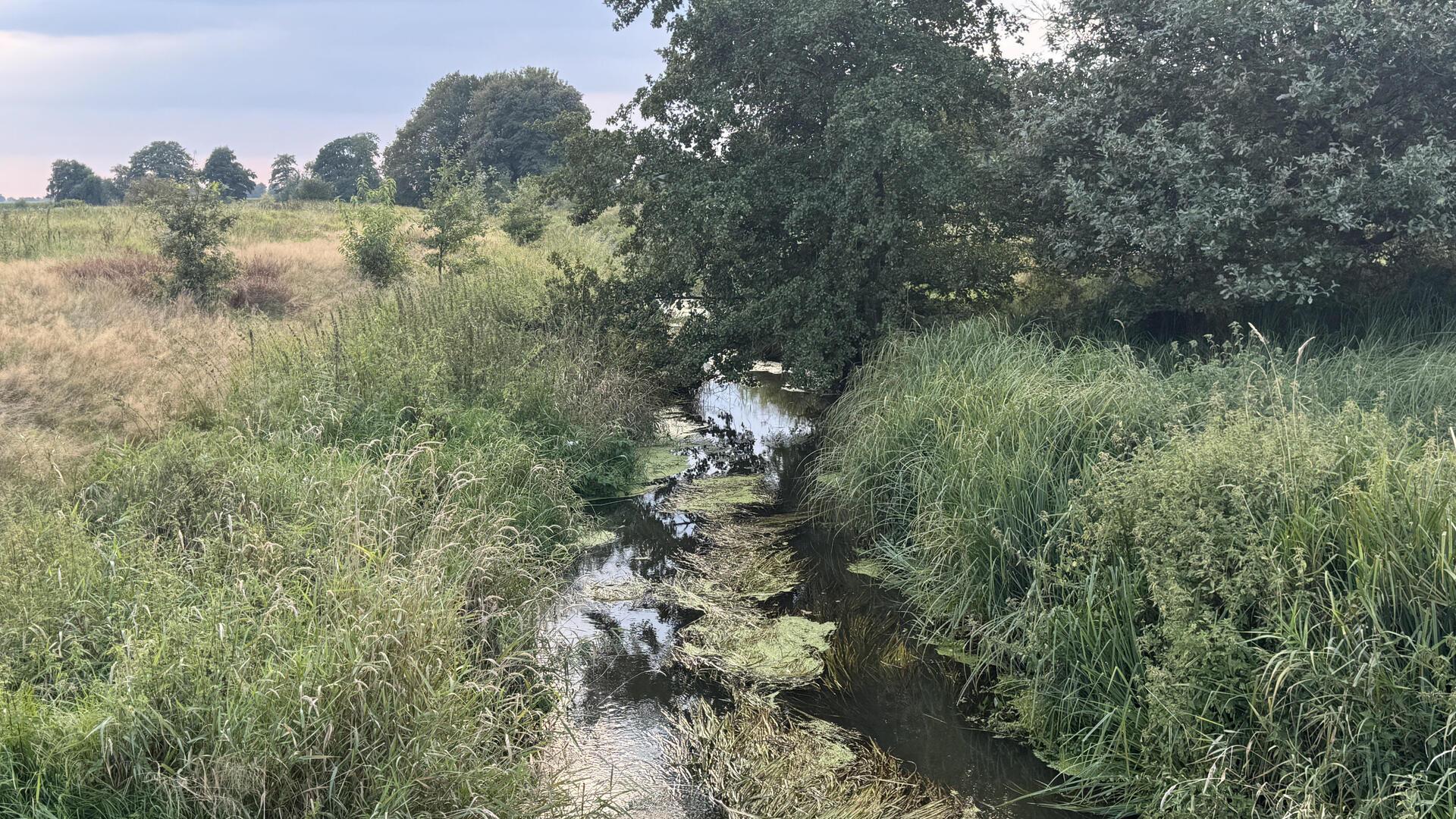 Ein schmaler Fluss führt zwischen Wiesen entlang.