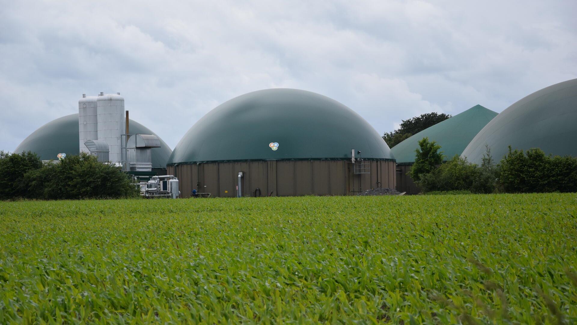 Mit Änderungen der Bebauungspläne soll der Standort der Biogasanlage nahe der Landesstraße 122 in Ostereistedt für die Zukunft ausgerichtet werden.