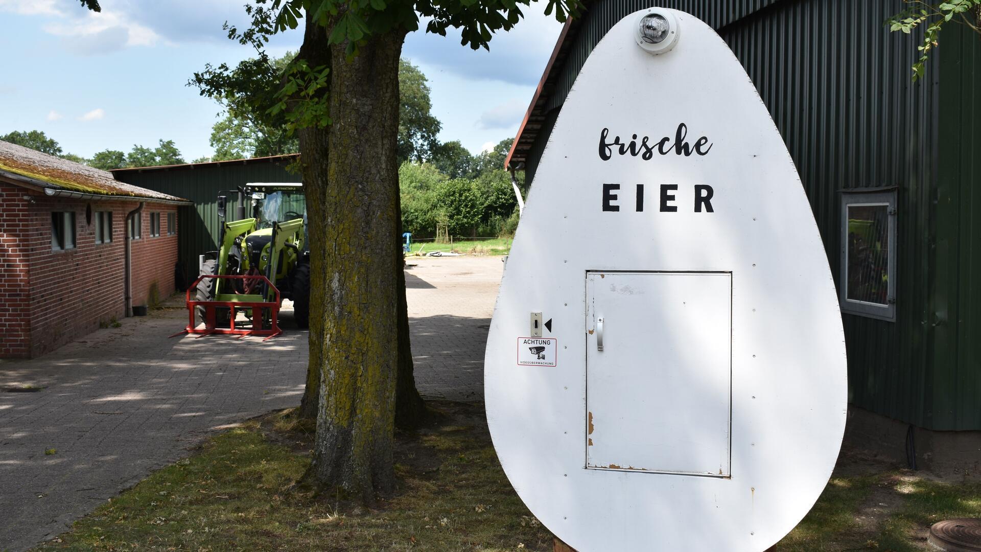 Ein großes Ei aus einer weiß lackierten Holzplatte mit der Aufschrift frische Eier steht an einem Hof.