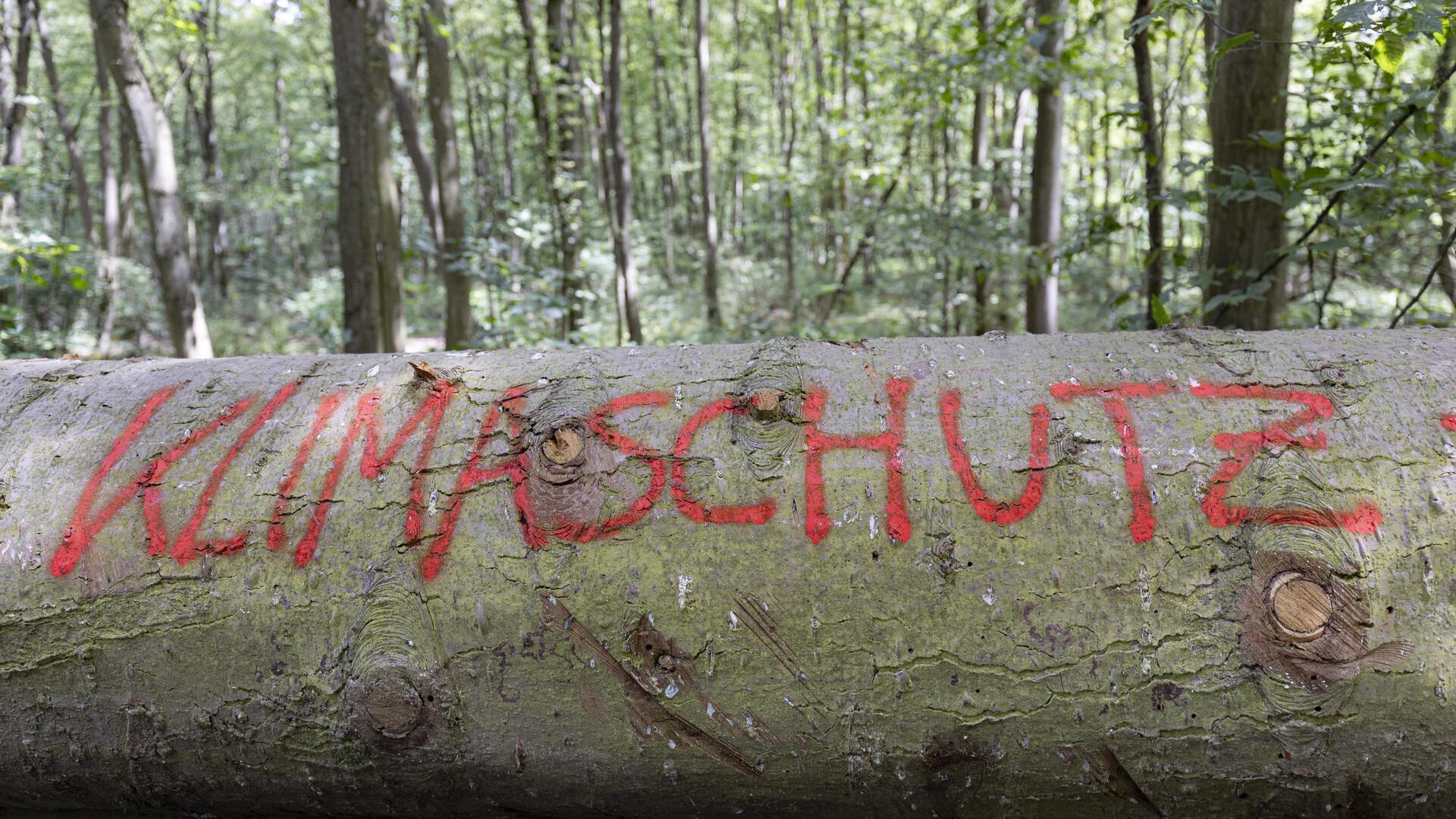 Mit zwei Anträgen wollen die Bremervörder Grünen sich für mehr Klimaschutz und Lebensqualität in Bremervörde einsetzen. Symbolfoto: Tim Würz/dpa