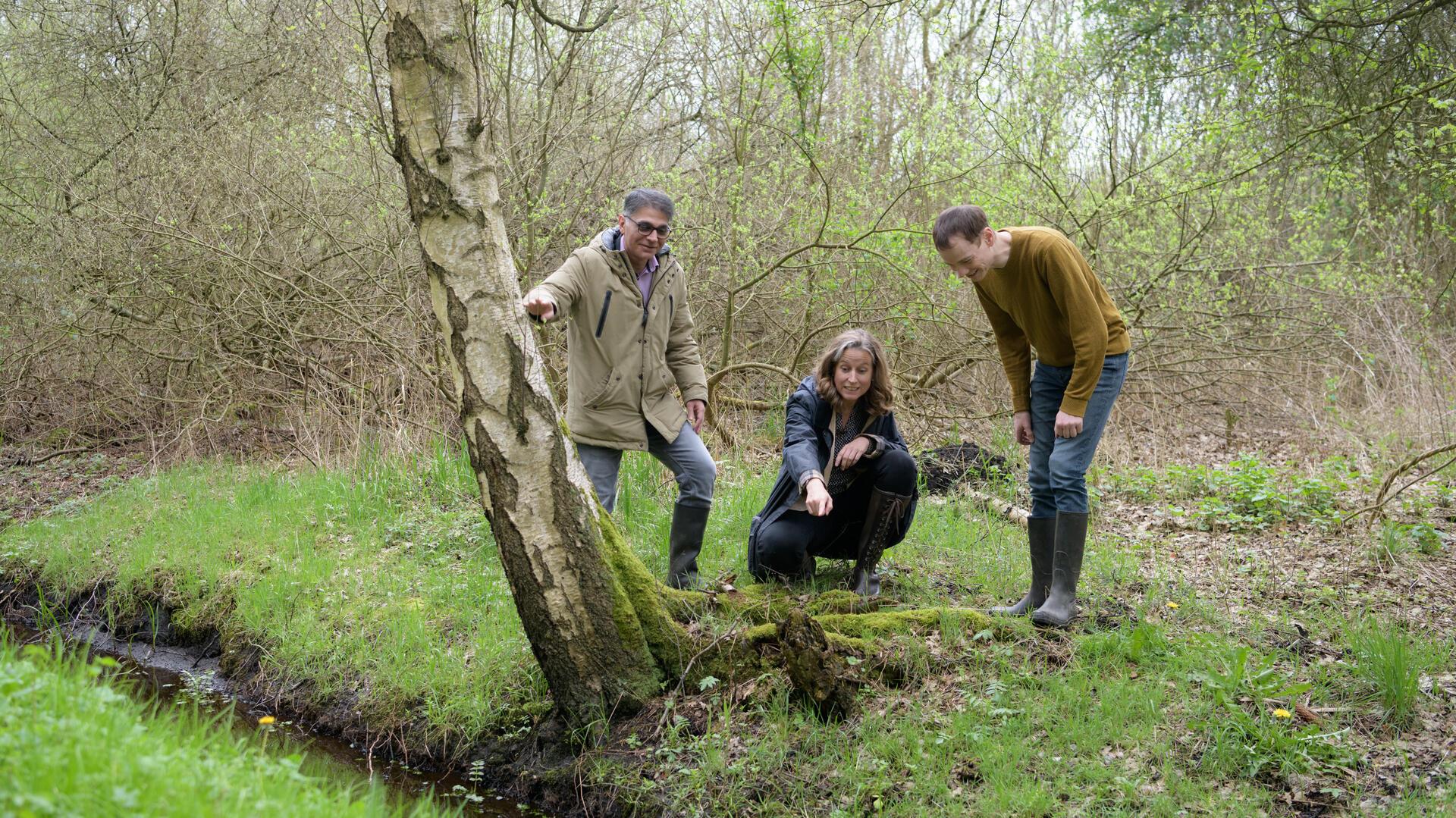  Sevan Tecer, Leiter des Umweltschutzamtes, Andrea Toense als Dezernentin für Gesundheit, Klima und Umwelt, und Landschaftsplaner Malte Wördemann von der Unteren Naturschutzbehörde) begleiten das Wiederaufbauen des größten Hochmoores im Land Bremen, dem Fehrmoor. 