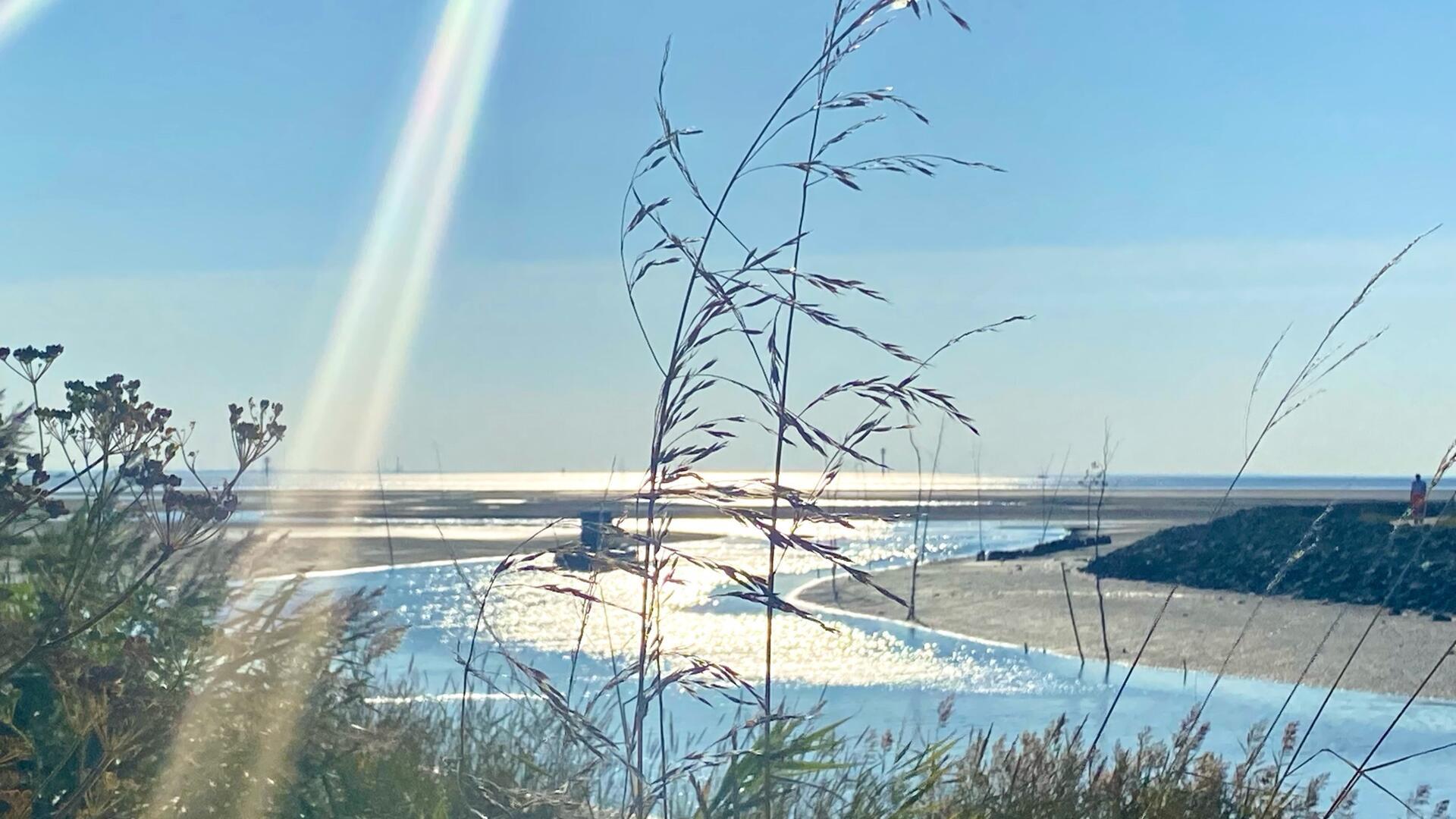 Strahlendes Tageslicht im Spätsommer über dem Watt an der Wurster Nordseeküste bei Wremen