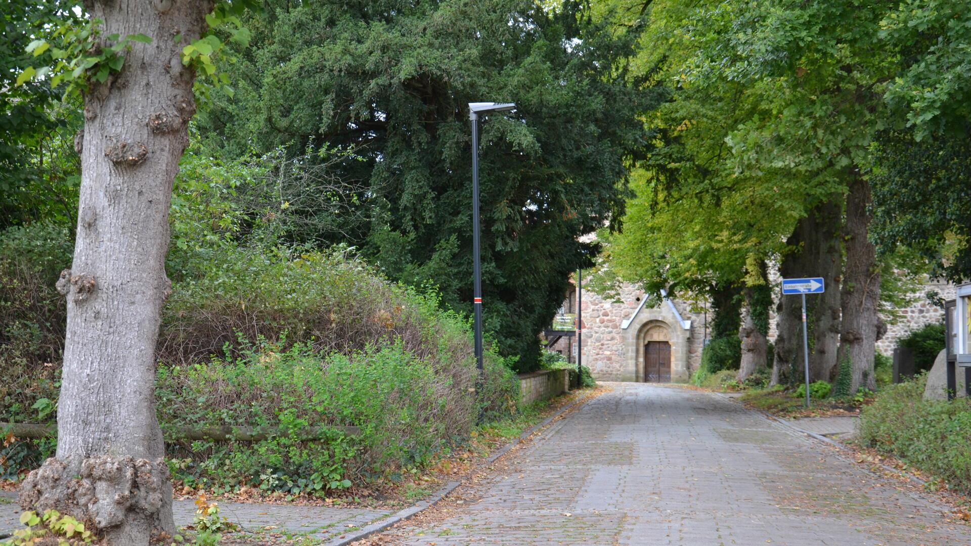 Neben den als Naturdenkmal geschützten Eiben am Klostergang in Zeven soll vielleicht ein Trafohäuschen aufgestellt werden.