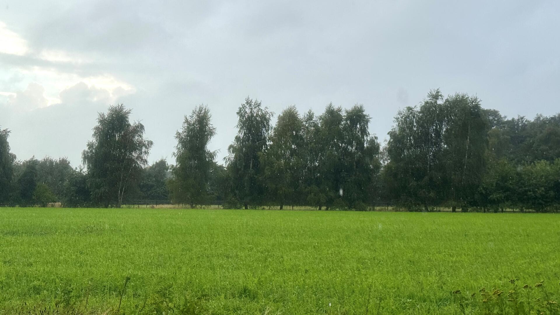 Noch erkennt man nichts außer Natur auf dem Feld des zukünftigen Wohngebietes in Breddorf.