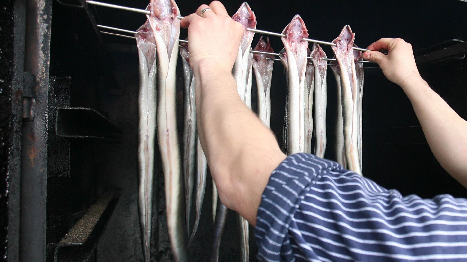 Aale werden zum Räuchern in den Rauchfang gehängt.