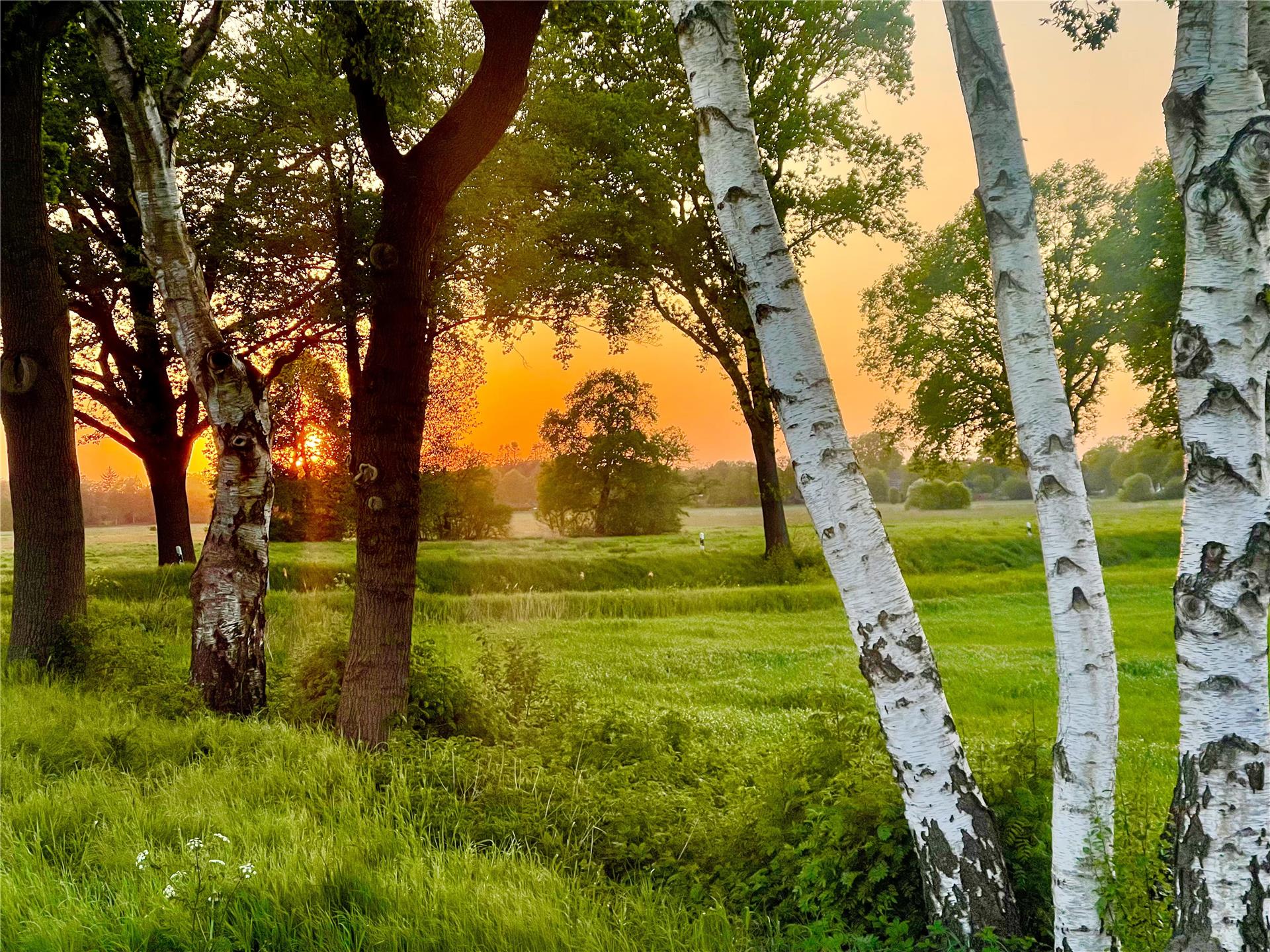 Rhadereistedt - angenehme Temperaturen in der Abendsonne.