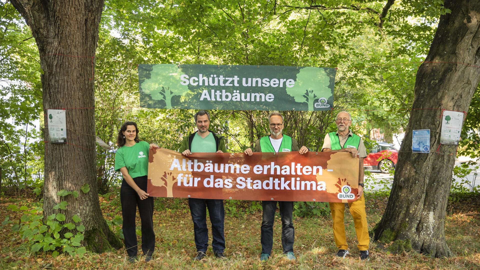 Aktion für Bäume in der Bogenstraße