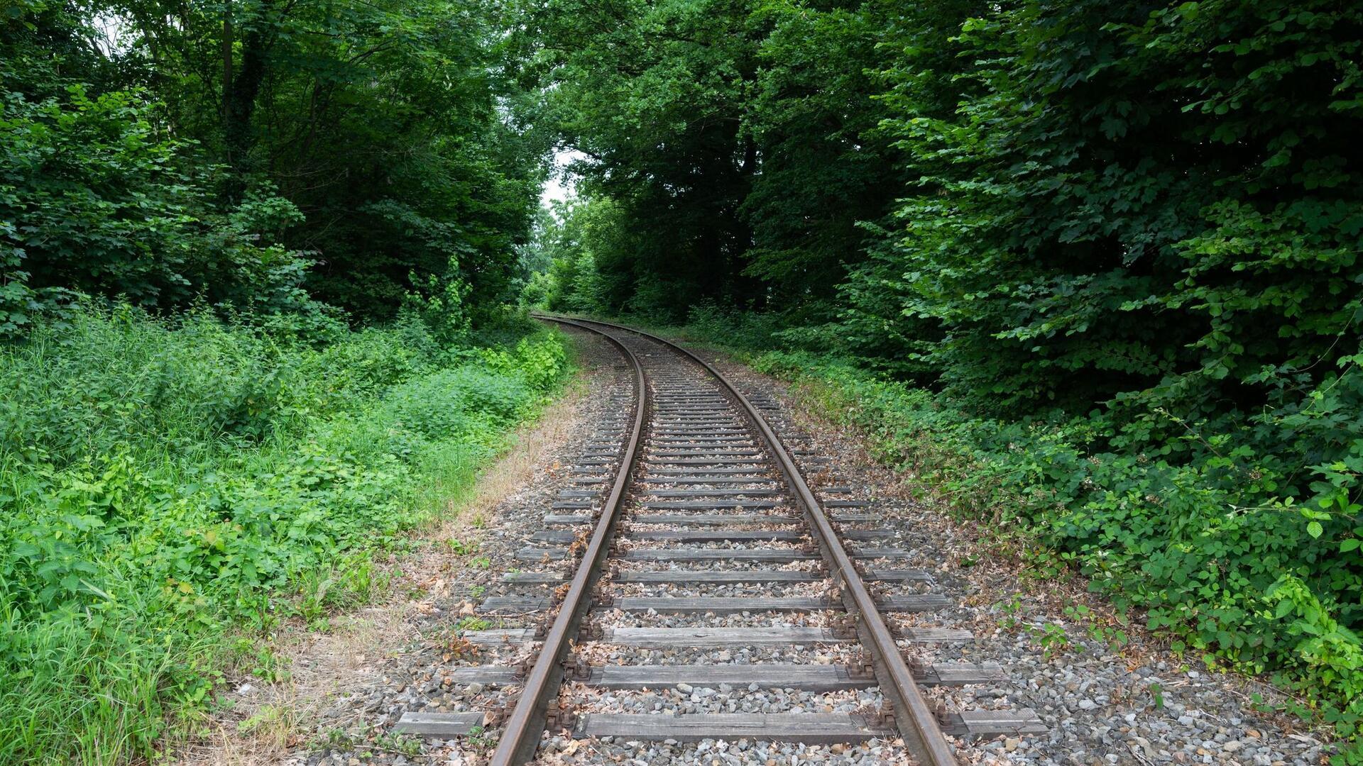 Schienen verlaufen auf der alten Bahnstrecke Rinteln - Stadthagen am alten Bahnhof Nienstädt im Landkreis Schaumburg.