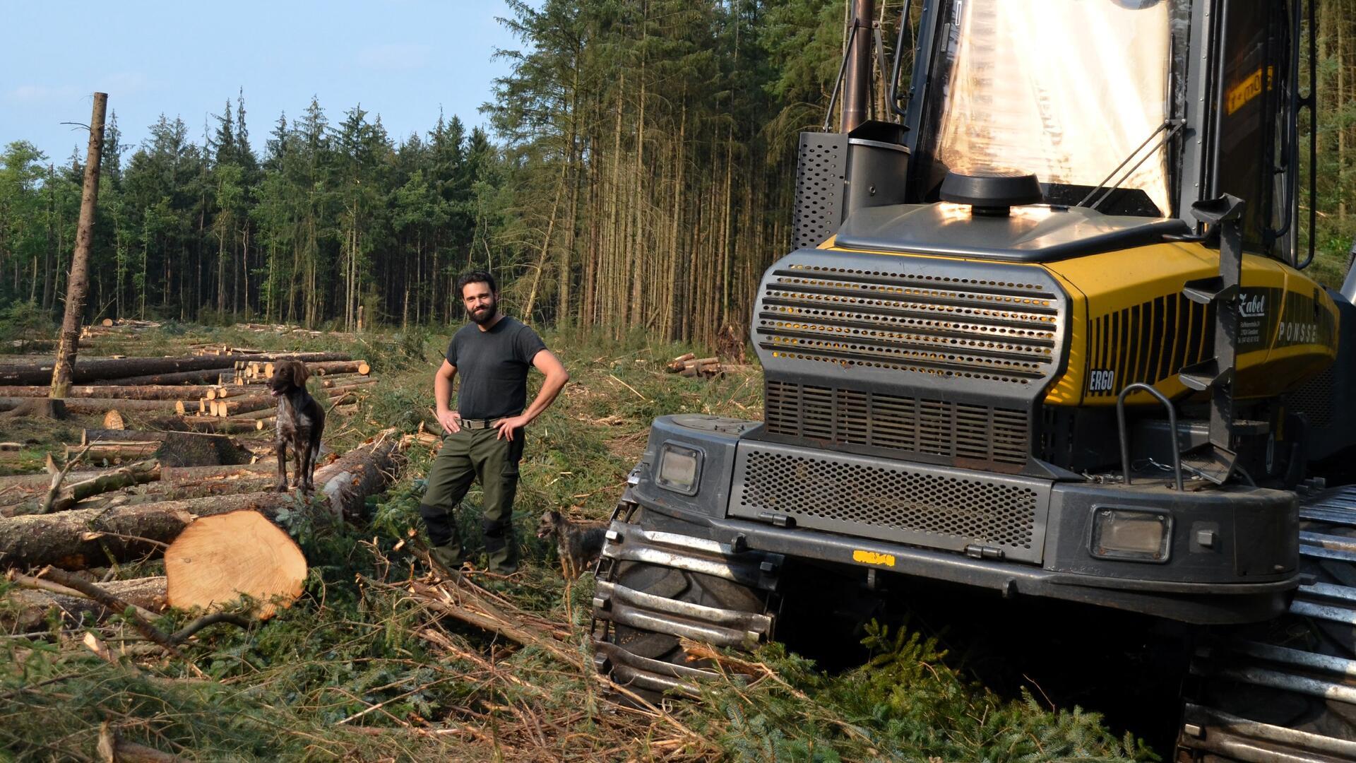 Schon am ersten Tag hat der Harvester ganze Arbeit geleistet. Tobias Loewer macht sich ein Bild von den Rodungsarbeiten.