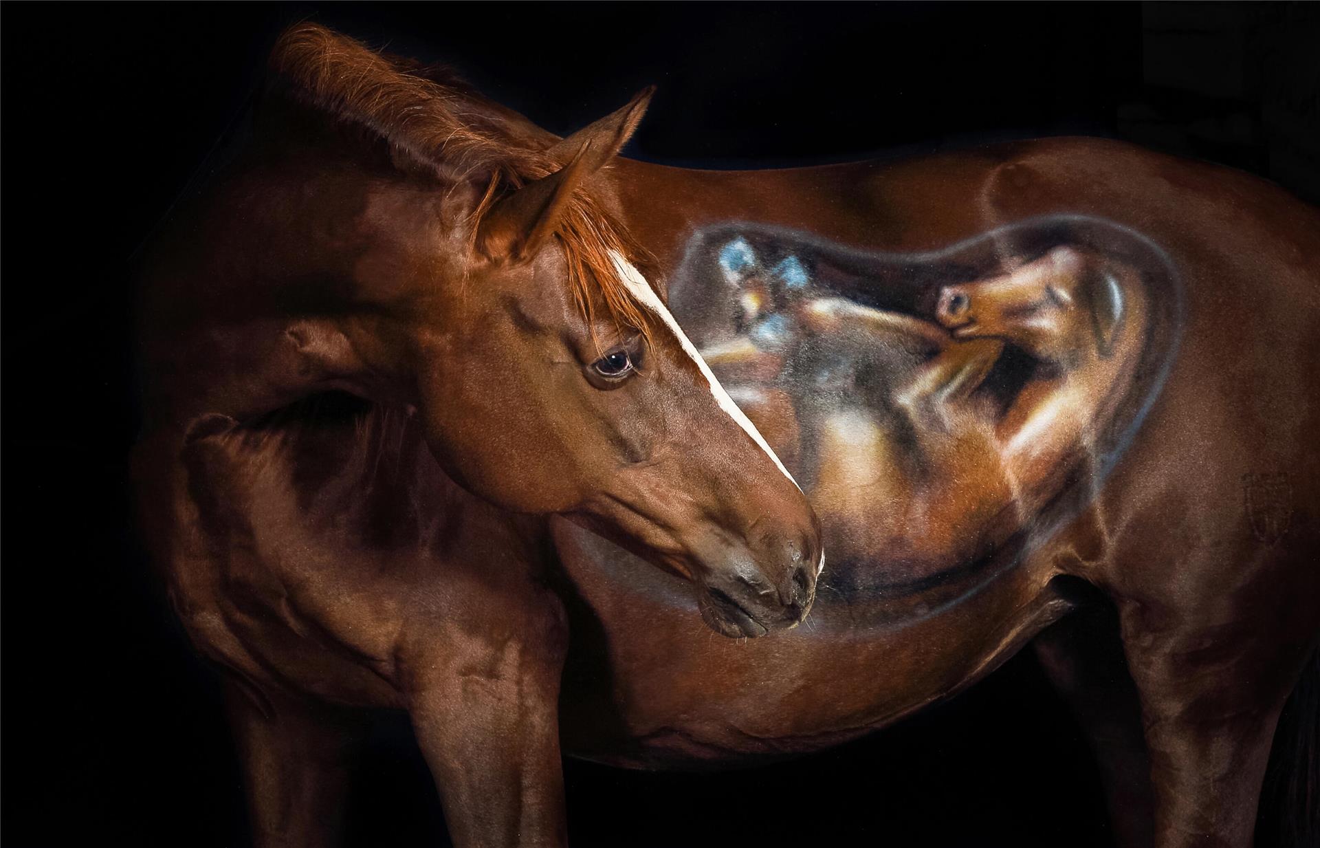 Foto der tragenden Stute Chanti mit Körperbemalung ihres Fohlens, fotografiert von Andrea Zachrau