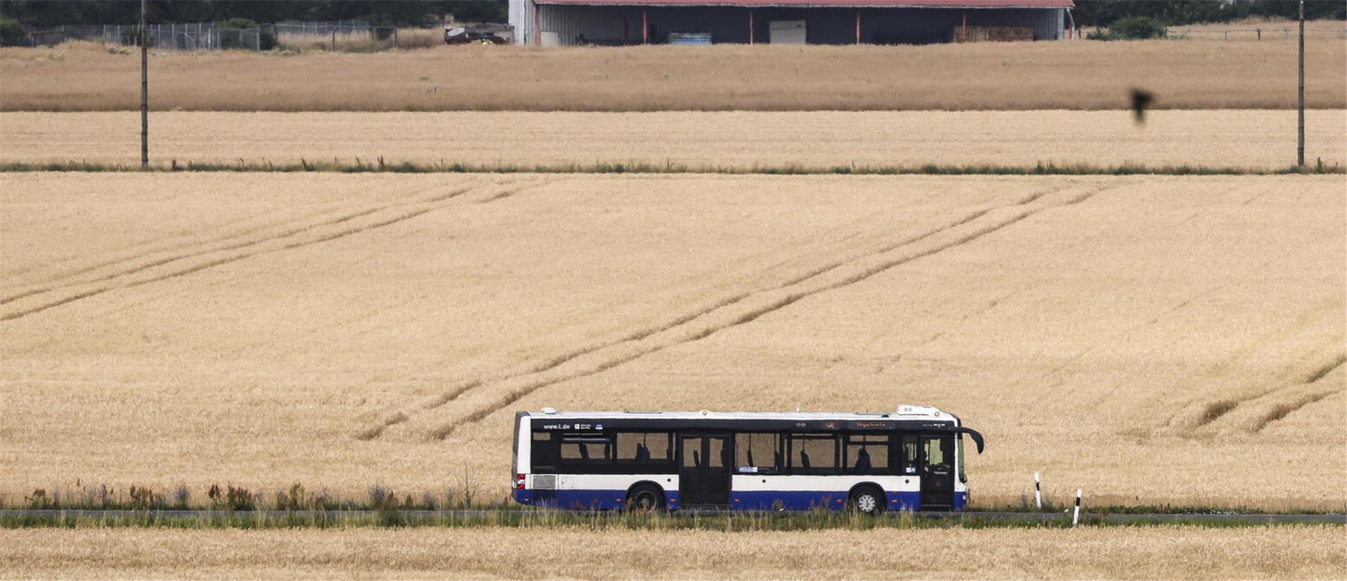 Ein Bus fährt durch Getreidefelder. 