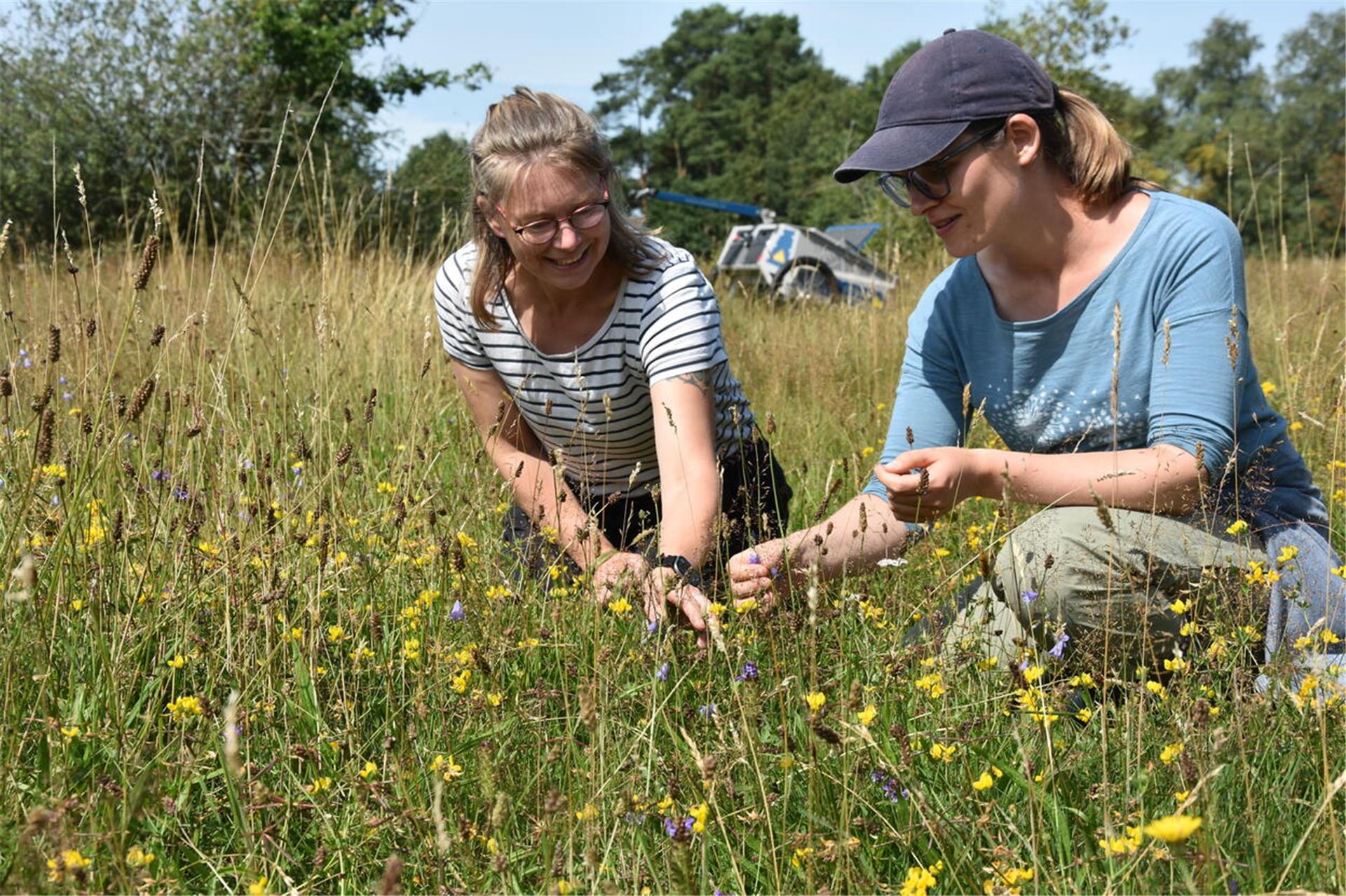  Önsor-Leiterin Sarina Pils (links) und ihre wissenschaftliche Mitarbeiterin Hannah Kohlhagen sitzen auf einer Blumenwiese.  