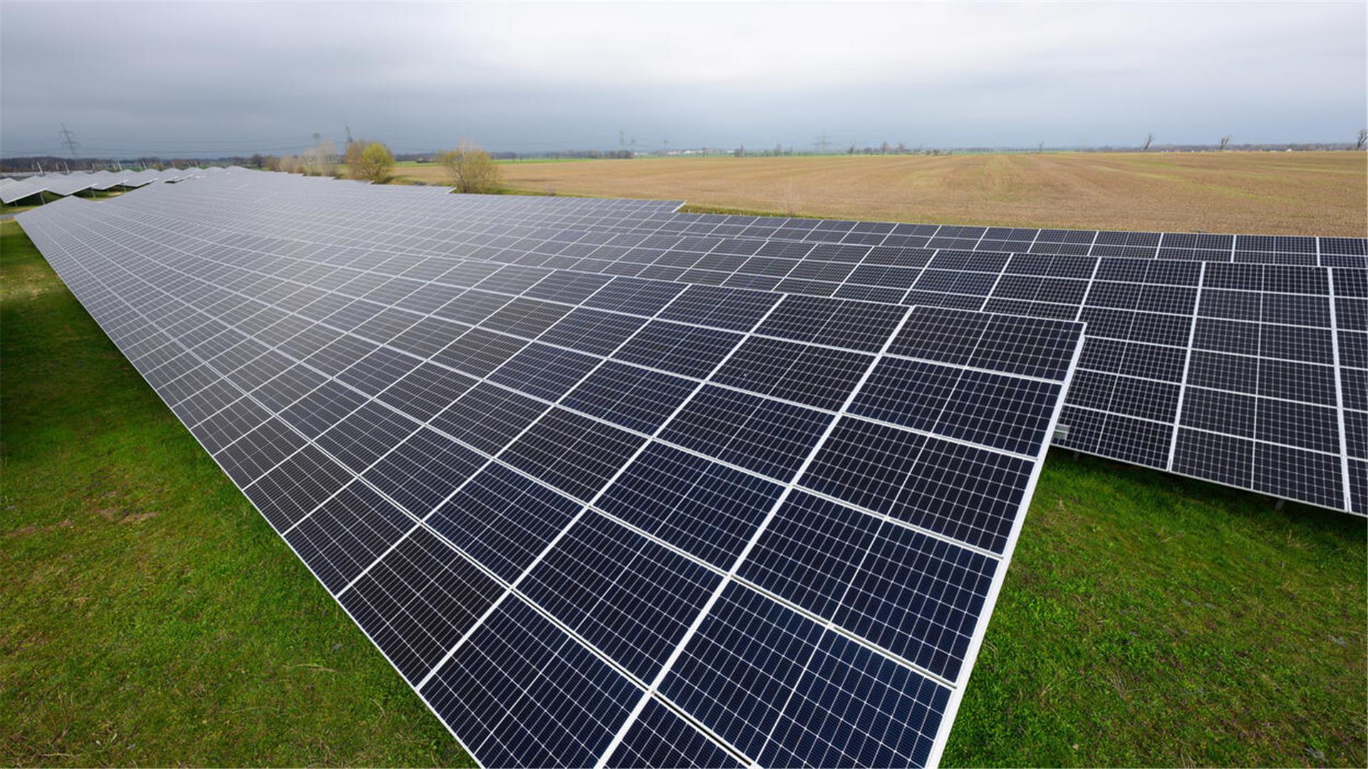 Solaranlagen sind auf einer Wiese montiert.