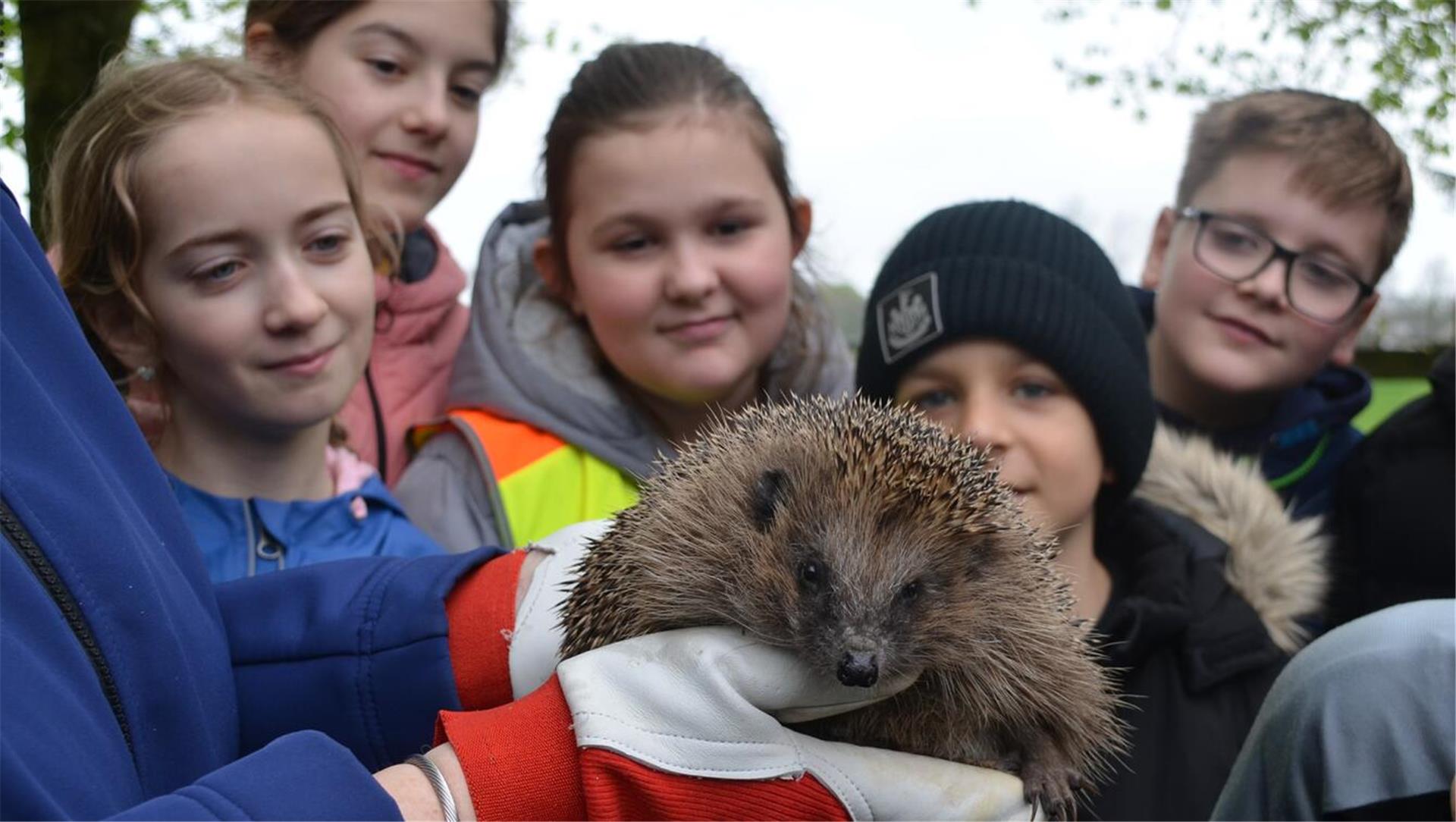 Ein Igel und viele Kinde