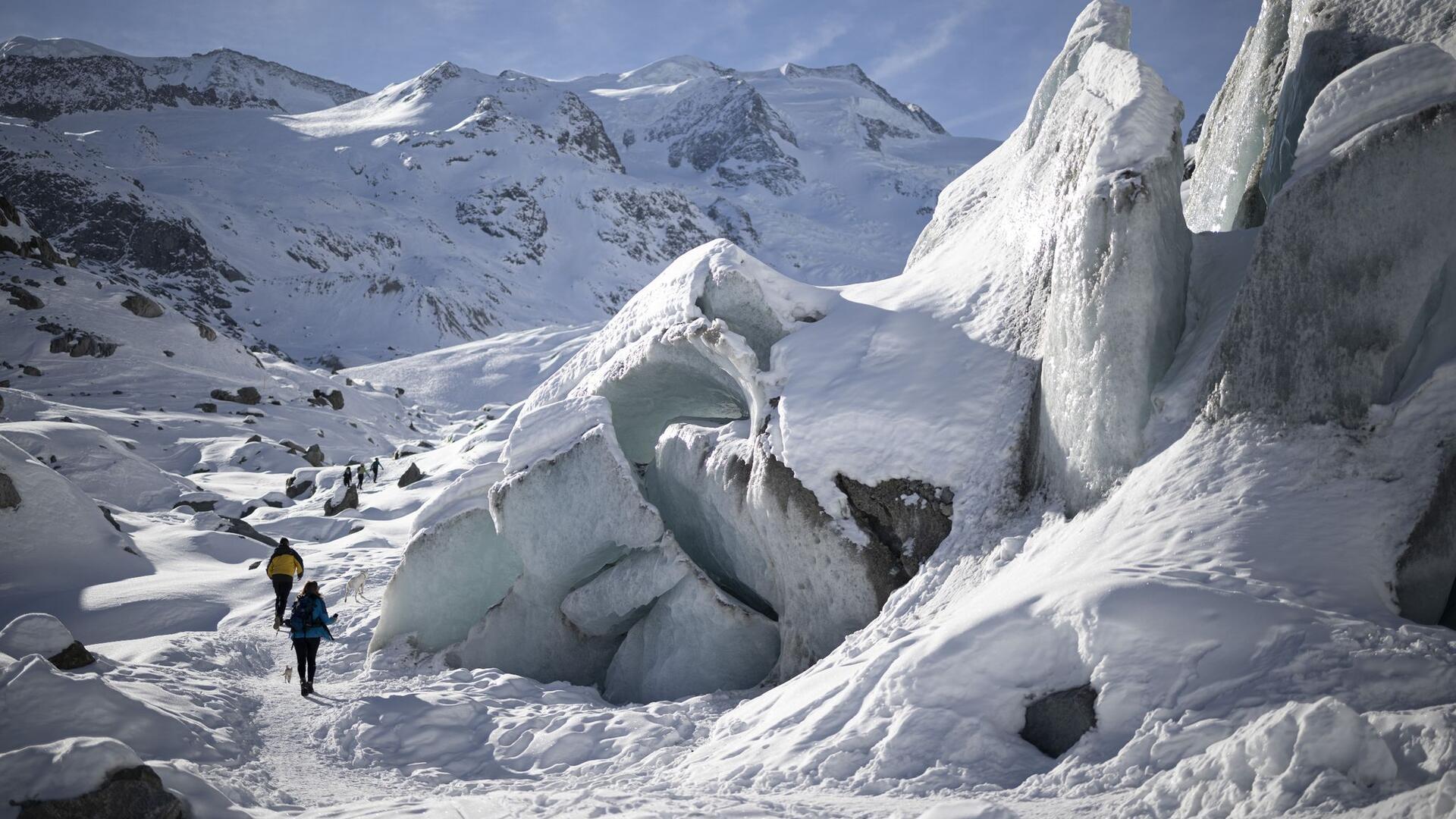 Sonne, Eis und Schnee: Während sich viele Menschen am Sonntag auf die faule Haut legen, werden diese Wanderer und sein Hund aktiv. Sie begehen den Morteratschgletscher in der Schweiz.