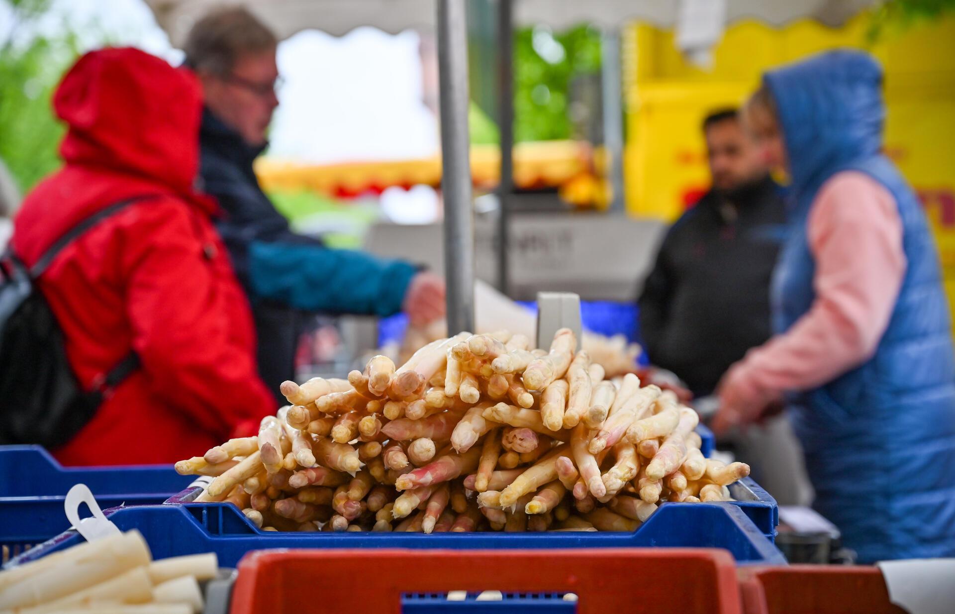 Spargel statt Blüten - auch das gibt's zum Geestemünder Blütemzauber.