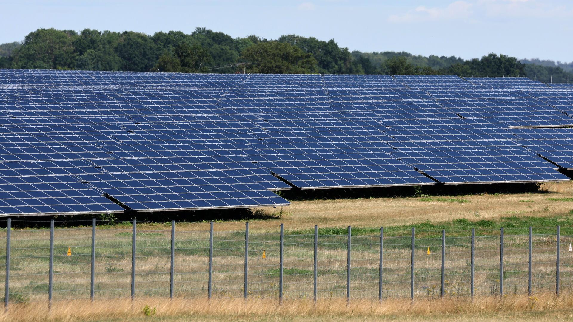 Solaranlagen stehen an einem Waldstück. 