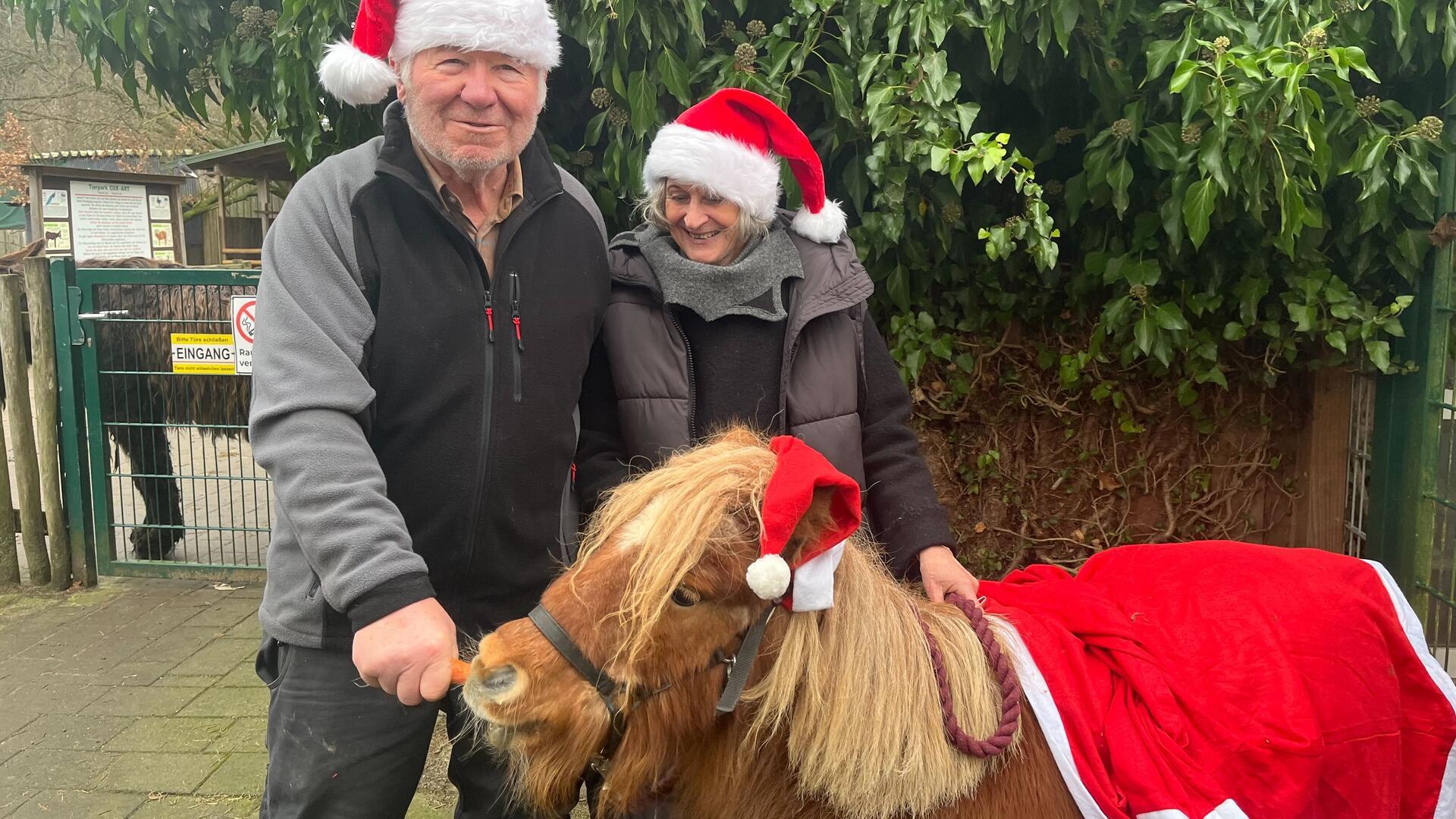 Susanne und Heinz‑Christian Steiner vom Tierpark Cuxart fütttern Pony Sabrina mit Kartotten.