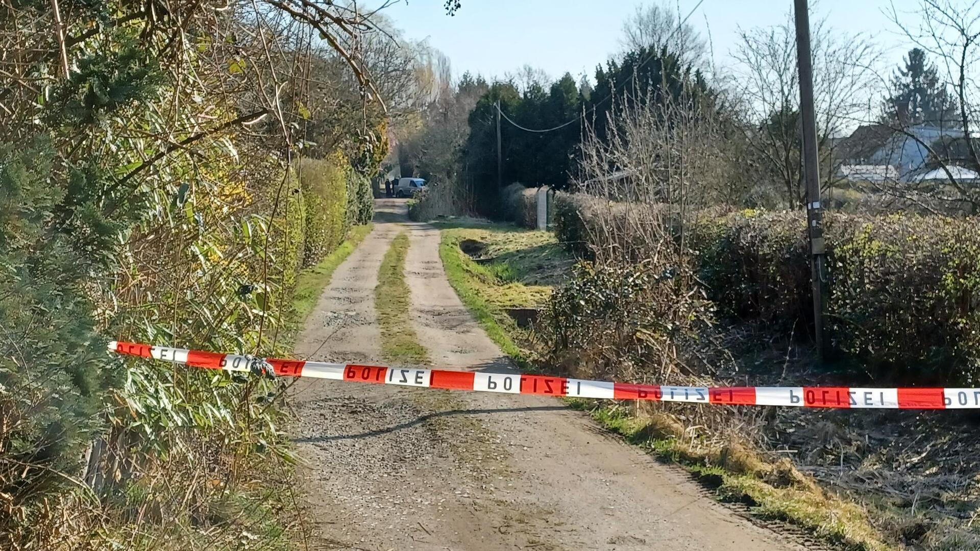 Flatterband vor einem Weg im Kleingarten